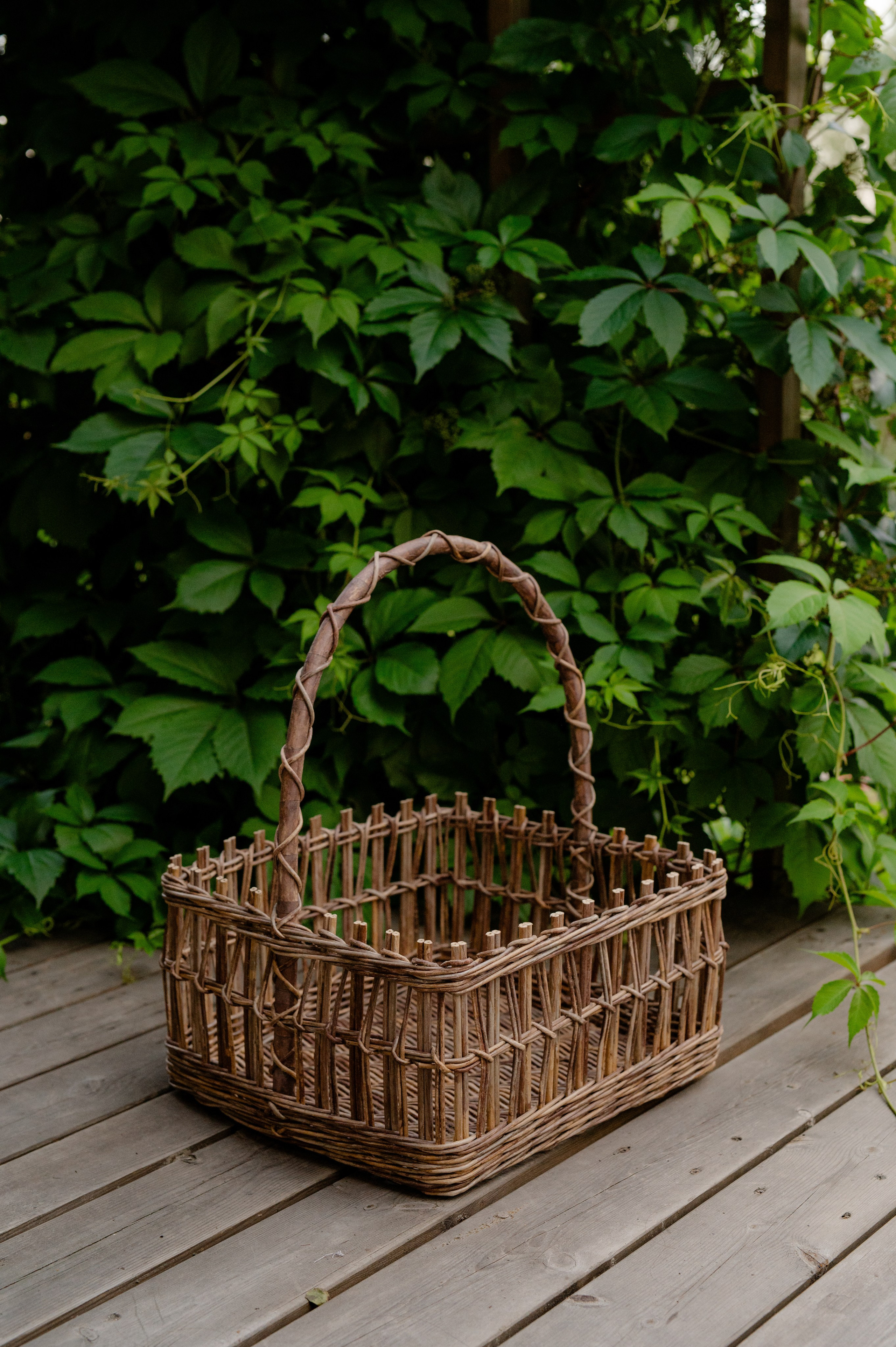 Контент съемка. Профессиональный фотограф и видеограф в Сортавала Ася Легконогова