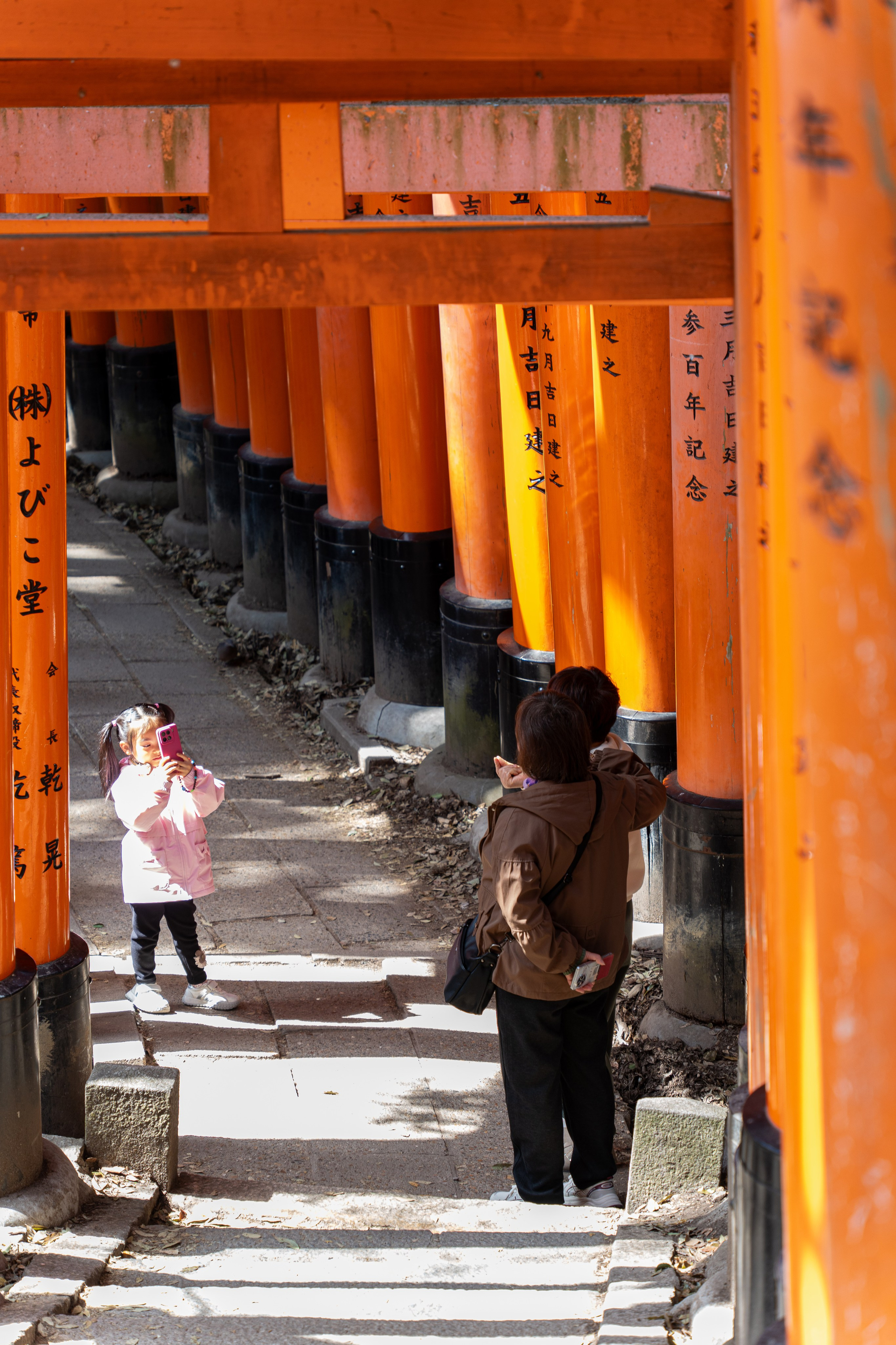 Япония, сакура. Творческие сьемки