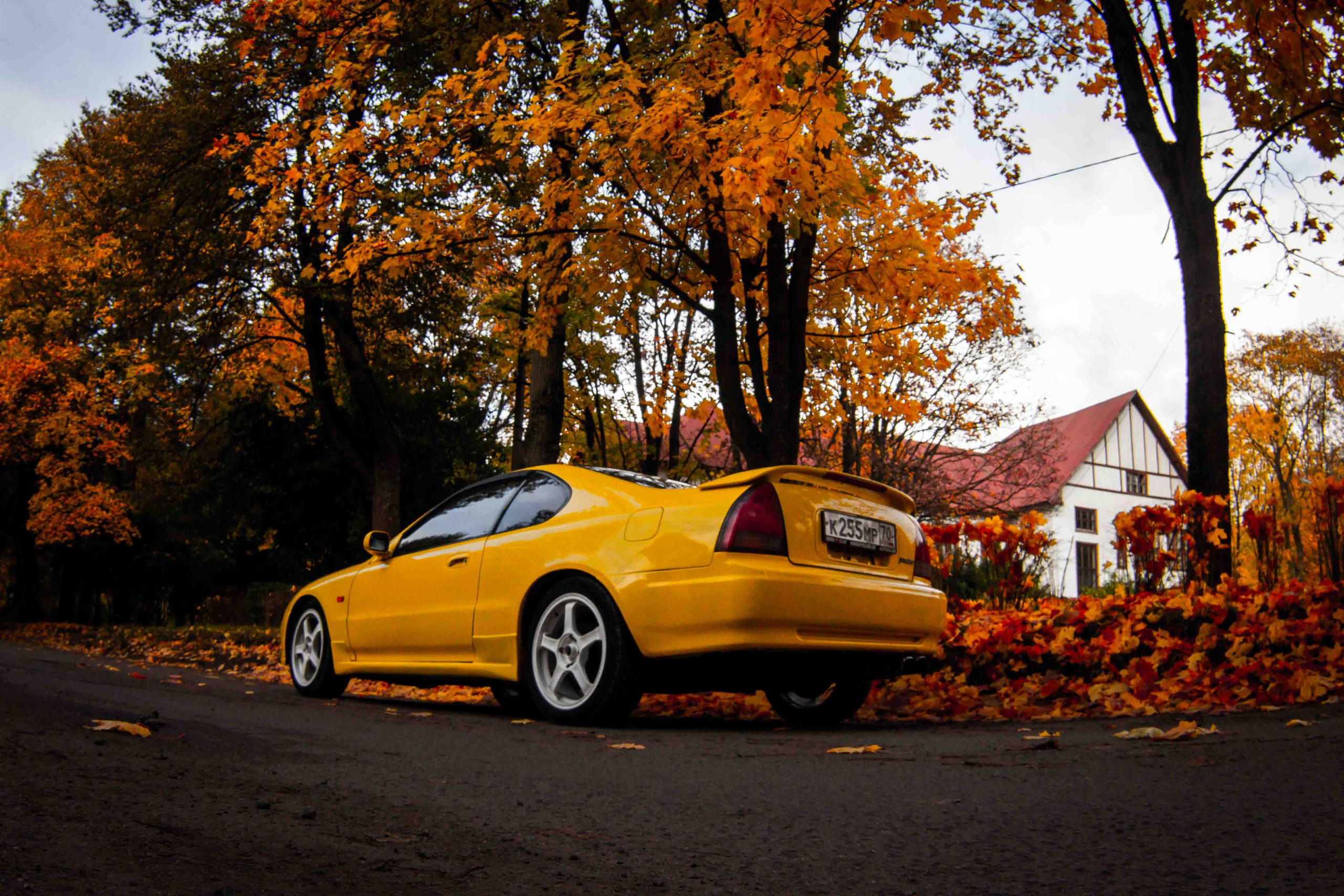 Осеннее настроение. Александр Попов