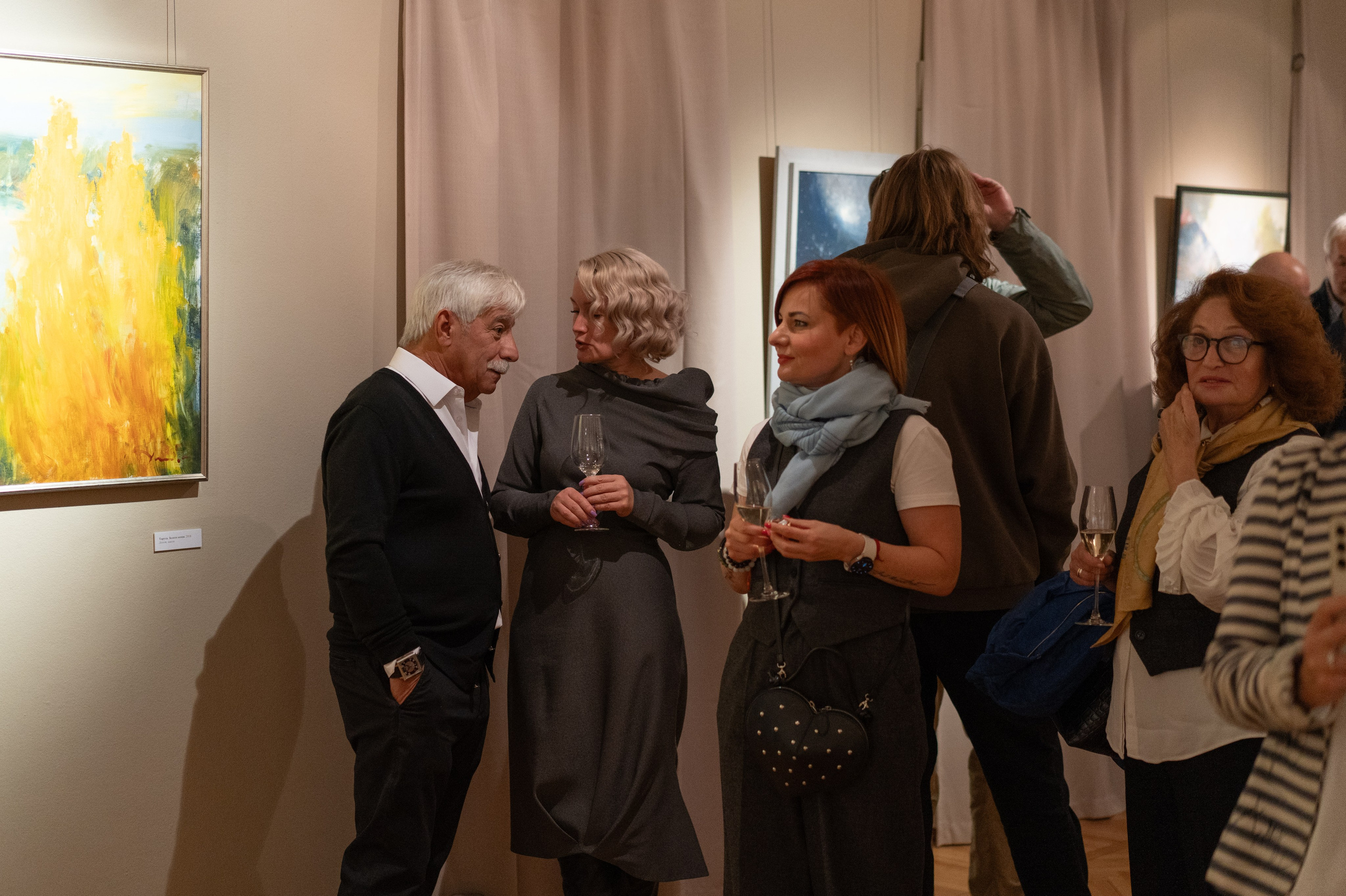 Съёмка открытия вытсавки художника Ильи Даньшина. Лиза Фирстова — самый добрый фотограф