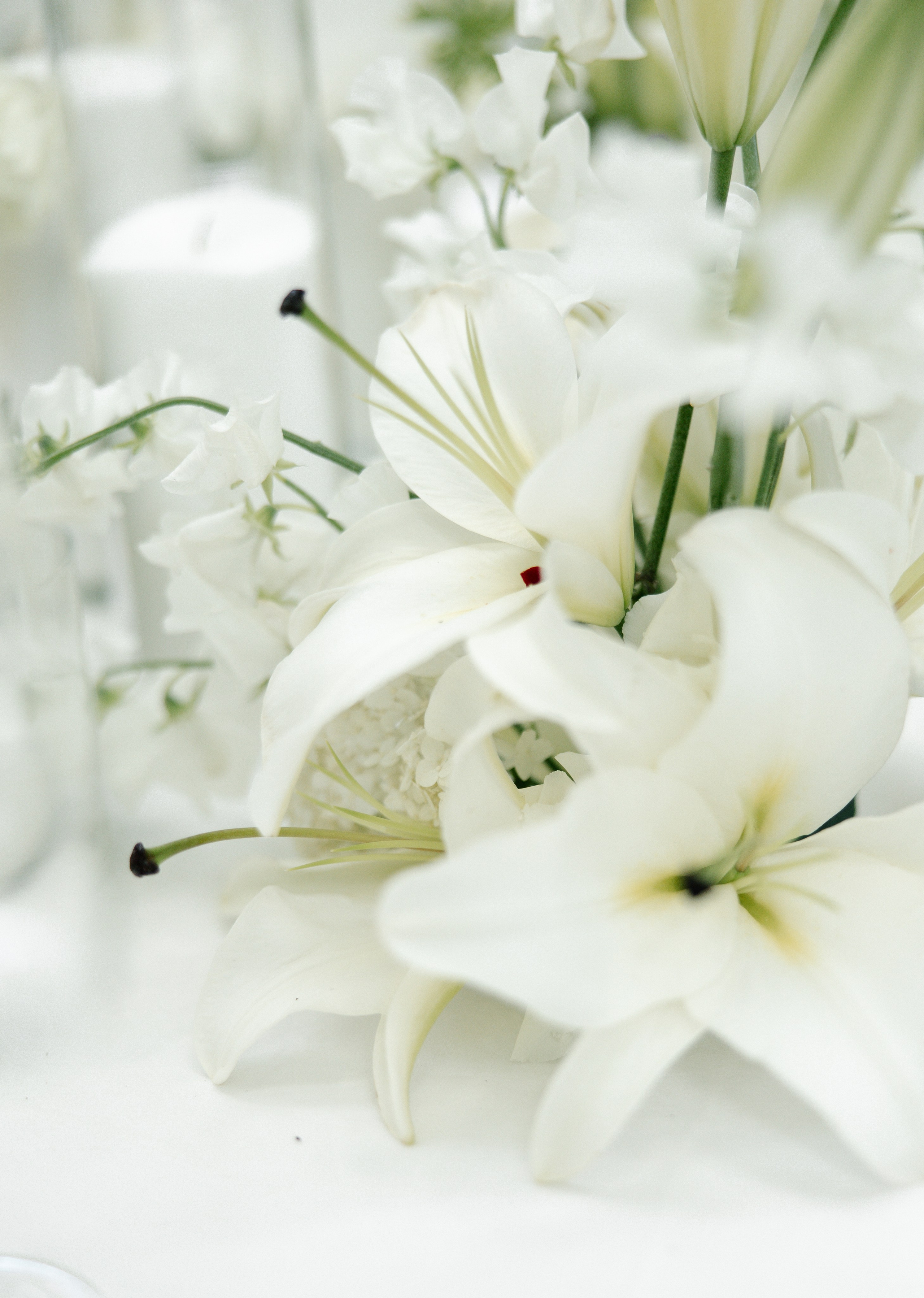 Елизавета & Дмитрий. Photographer Smyslova Lilia