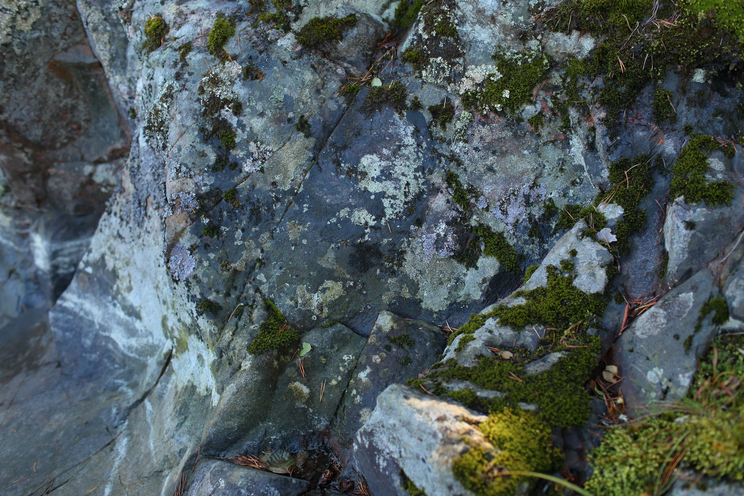 Ленинградская область — Карелия. Свадебный и репортажный фотограф в Ярославле и Санкт-Петербурге Роман Микрюков