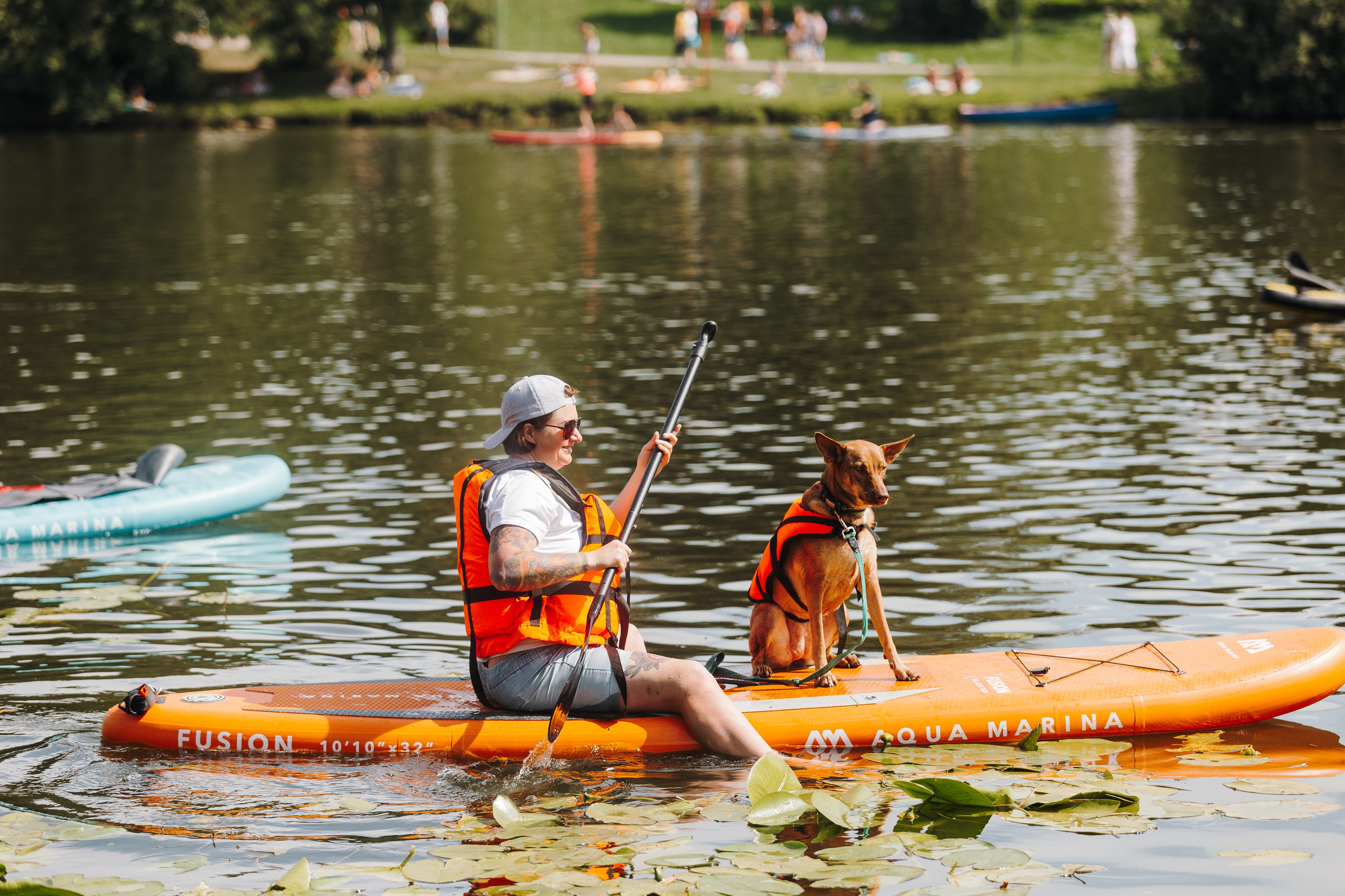 Petshop Sup day. Фотограф анималист Кристина Карпова, Москва
