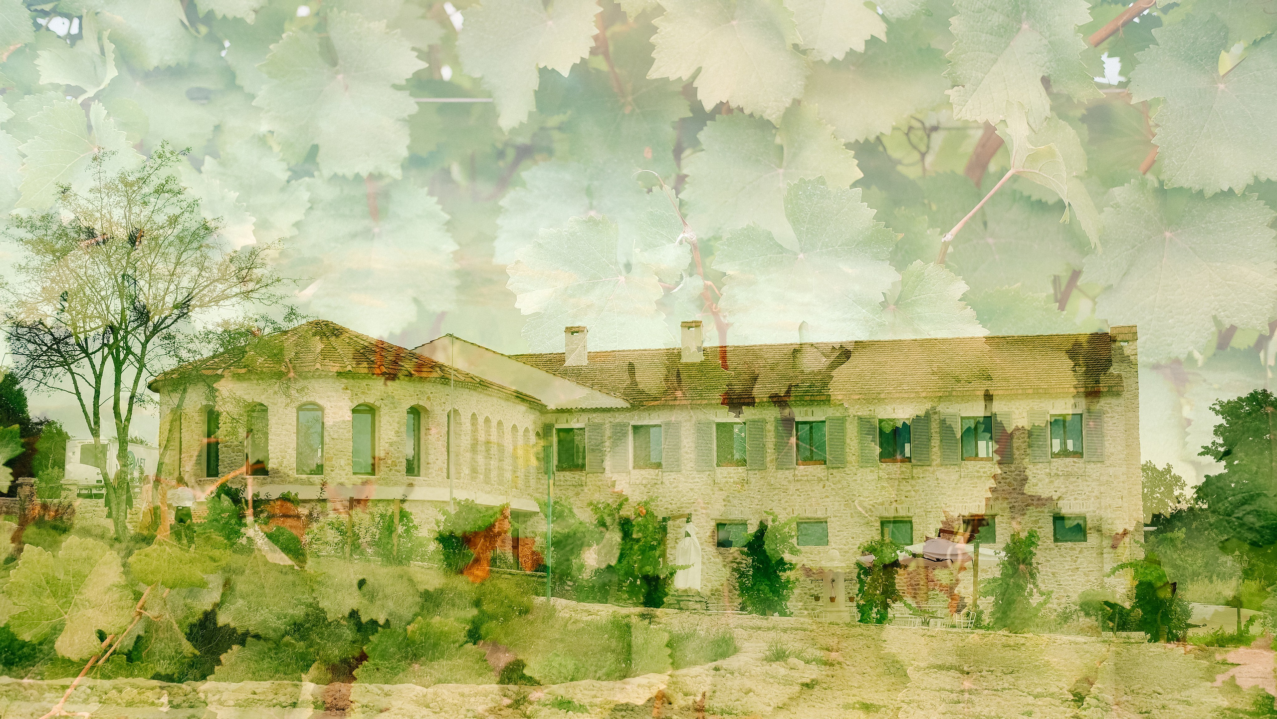 «Шато Андре». Фотограф в Анапе и Краснодаре Тина