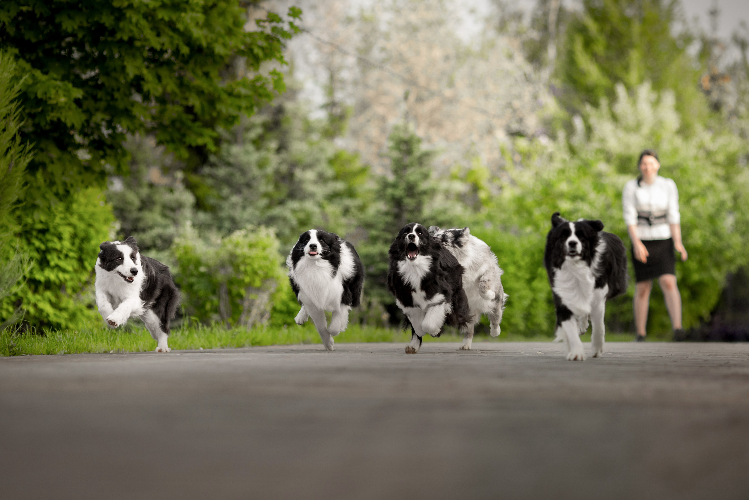 Роскошь в ростошах. О нас