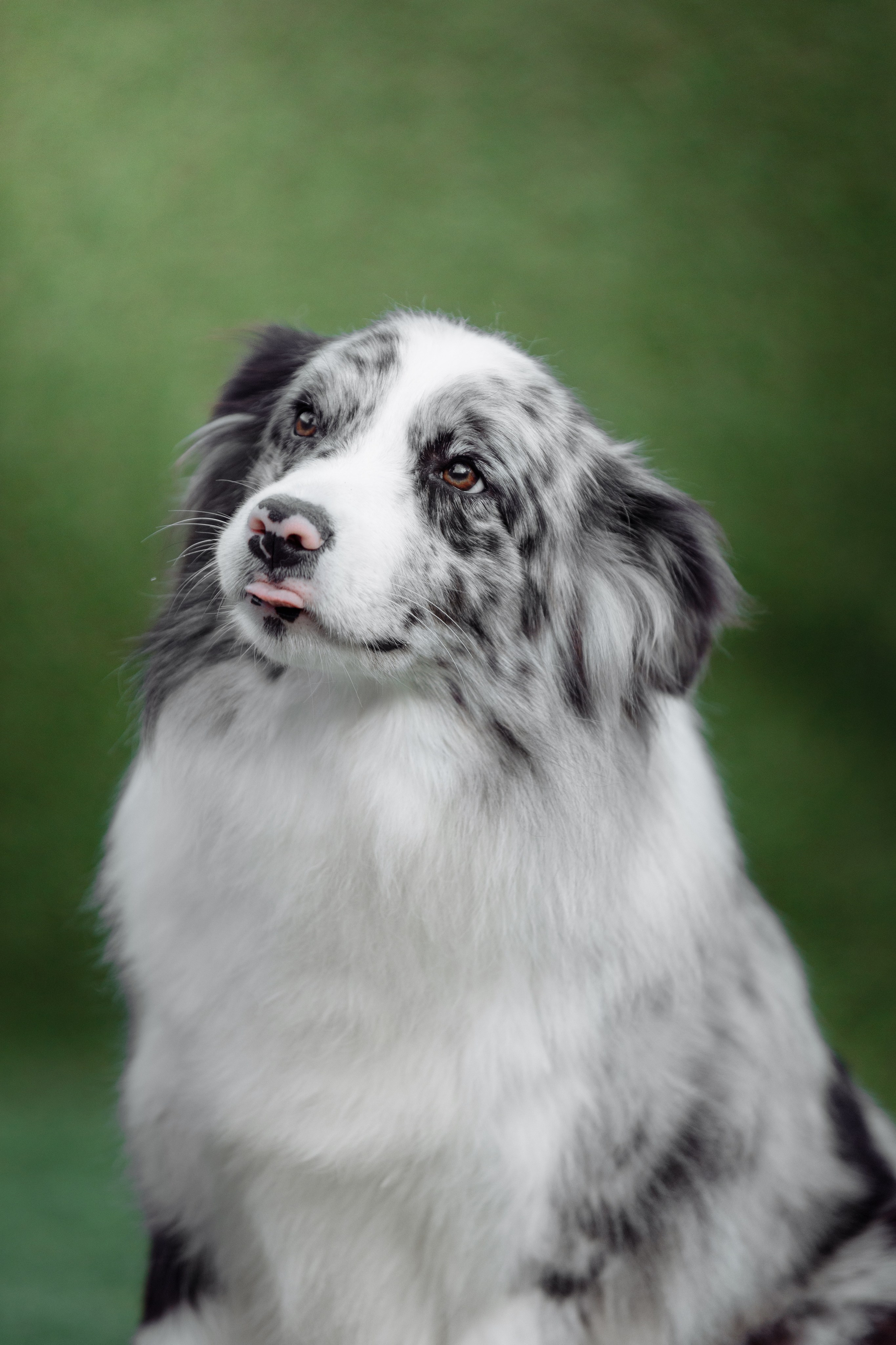 Свое место. О нас