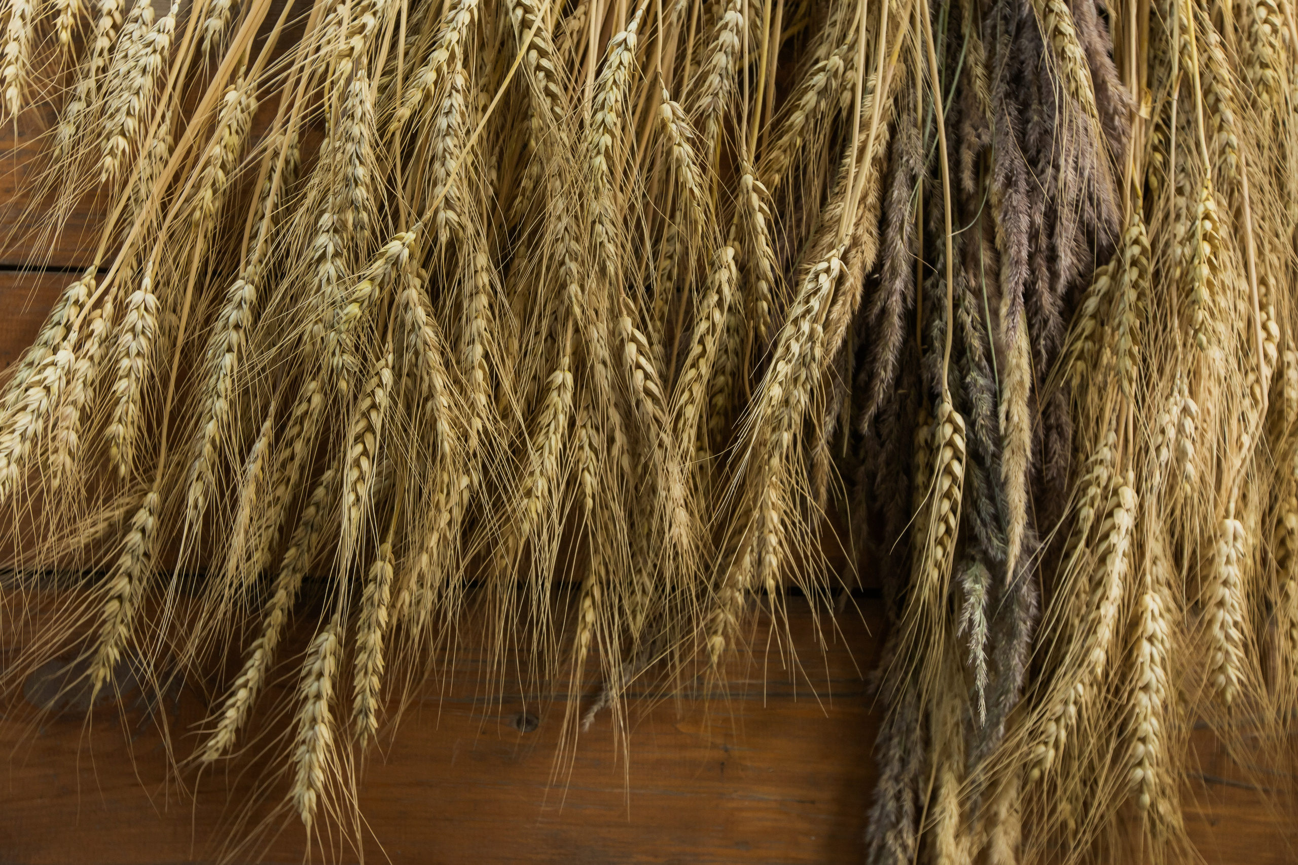 Олег и Дарья. Профессиональная видео и фото съёмка в Калуге и области