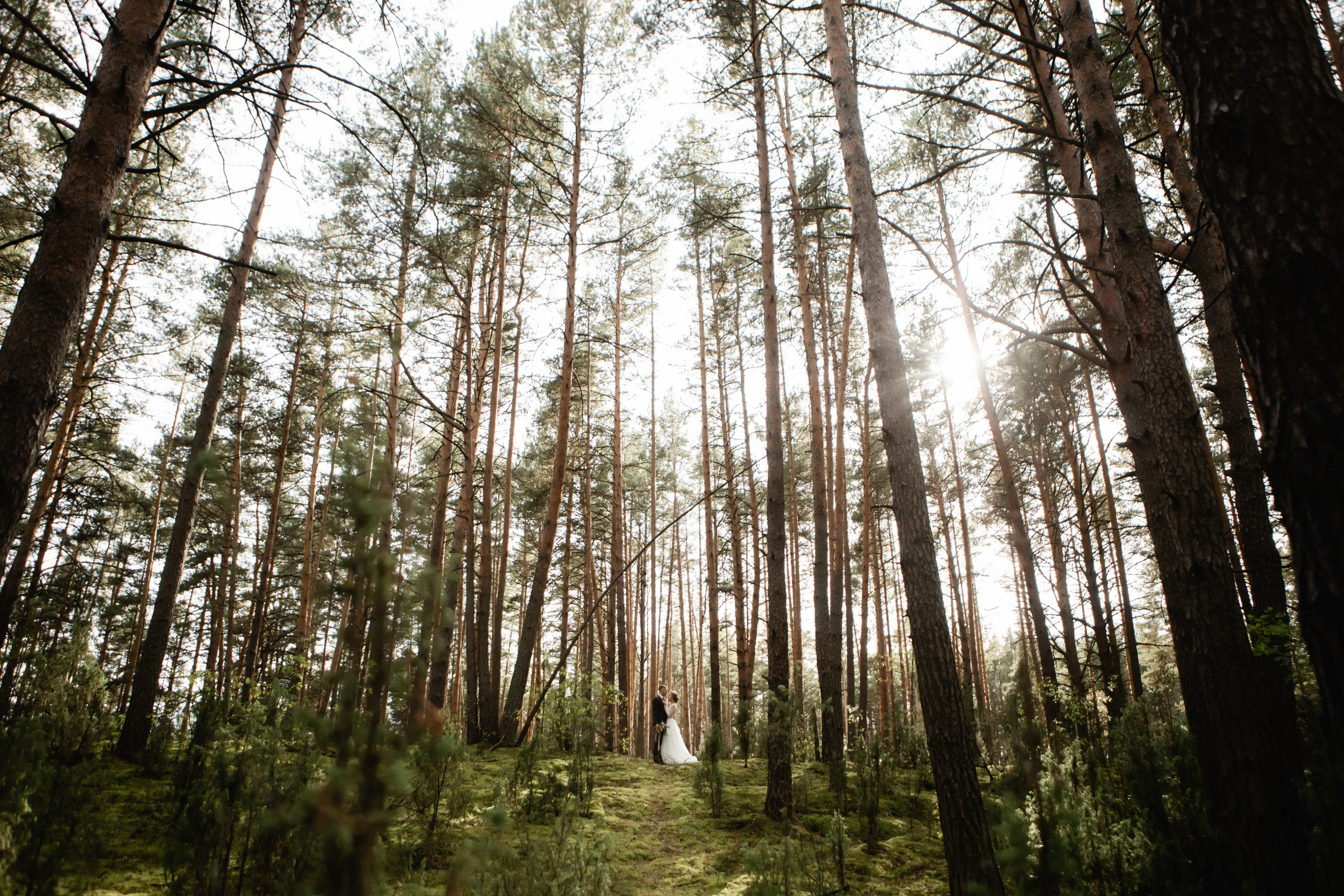 Евгений и Елена. Профессиональная видео и фото съёмка в Калуге и области