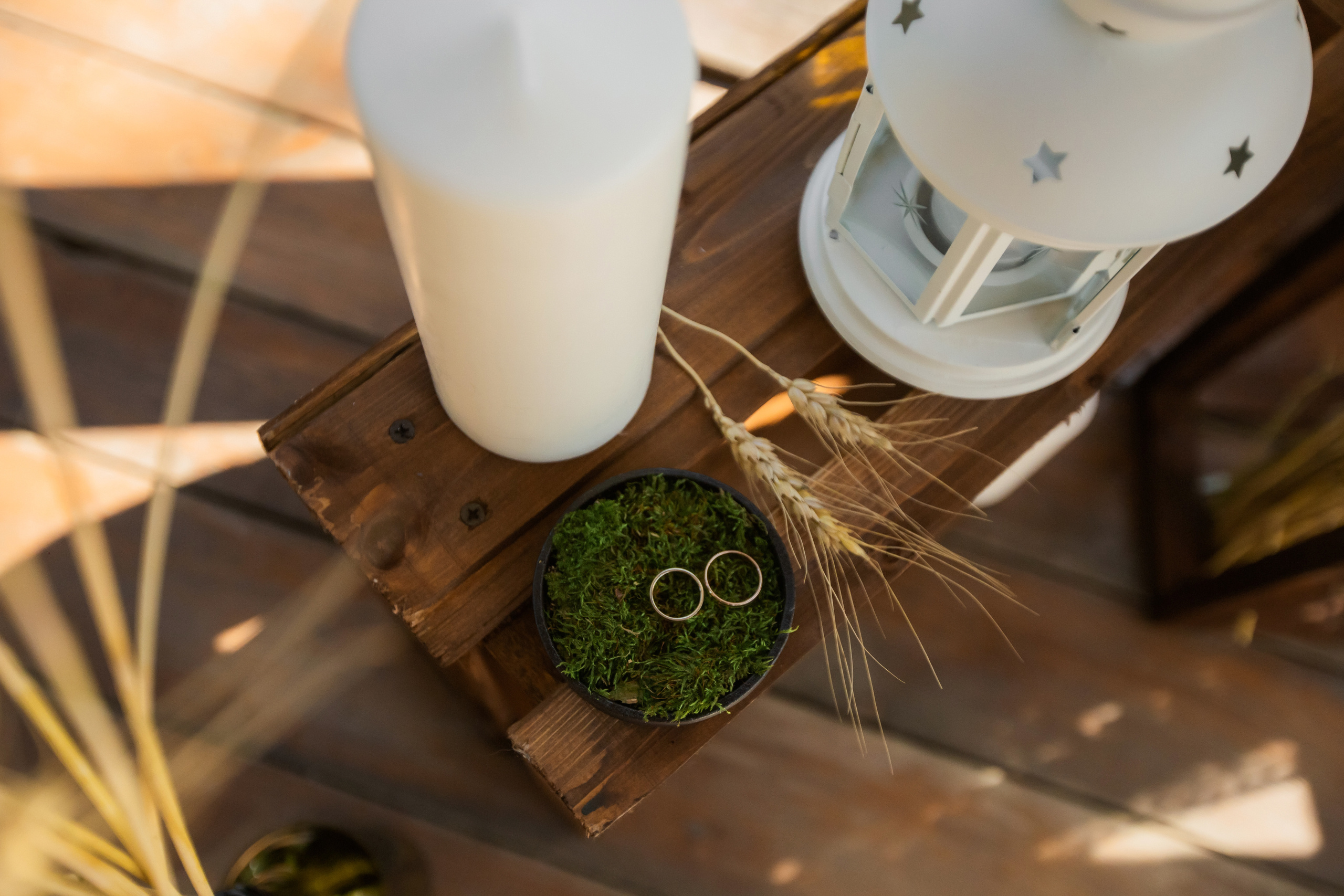 Олег и Дарья. Профессиональная видео и фото съёмка в Калуге и области