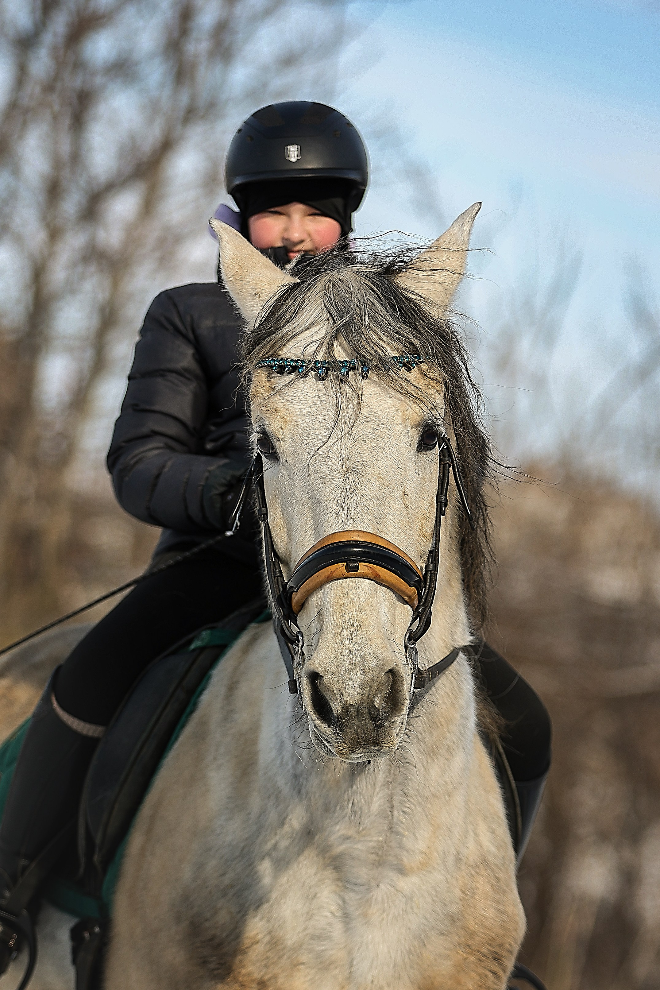 ЛОШАДИ. Фотограф-АниМалист Анна Абрамова