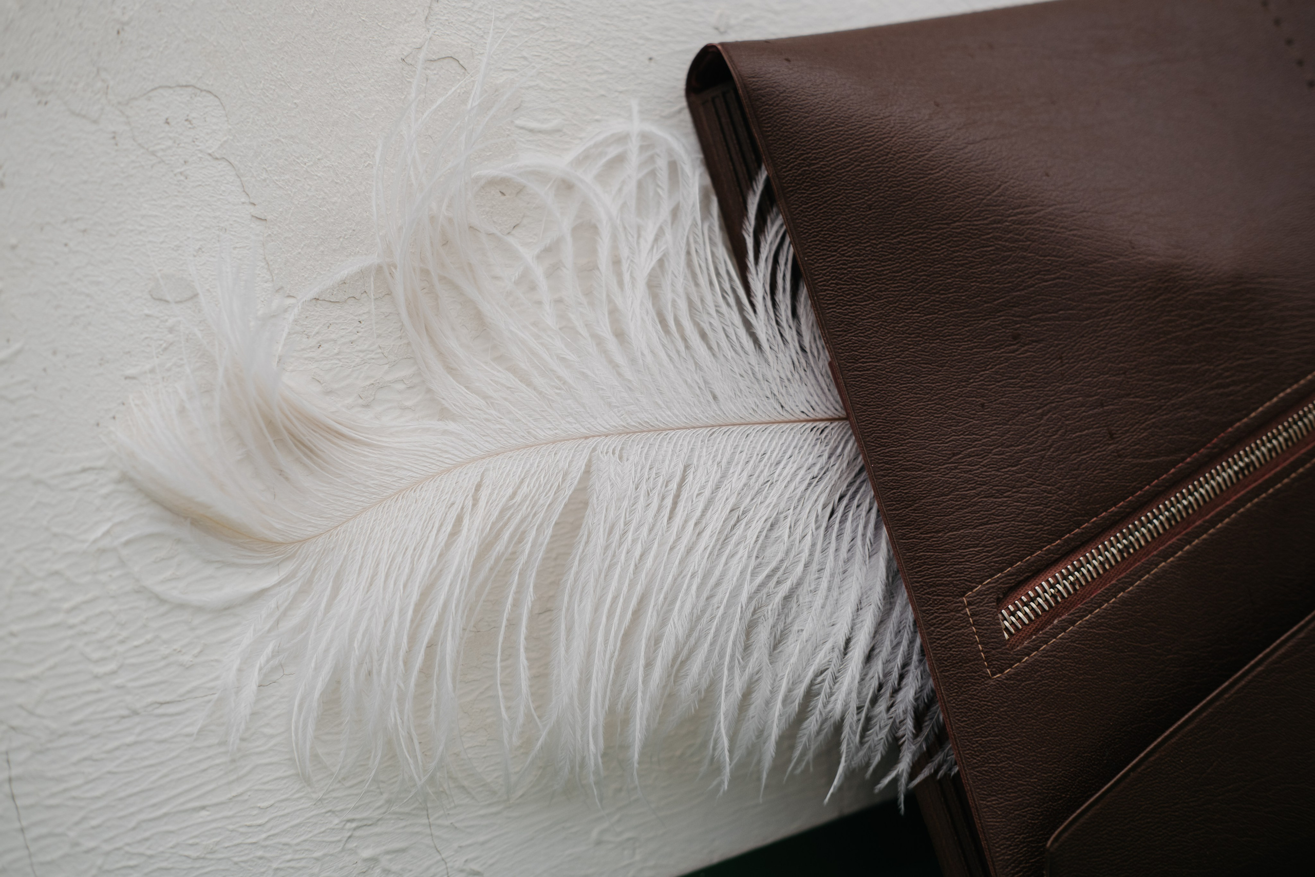 Афиши ПушкинФест. Обо мне