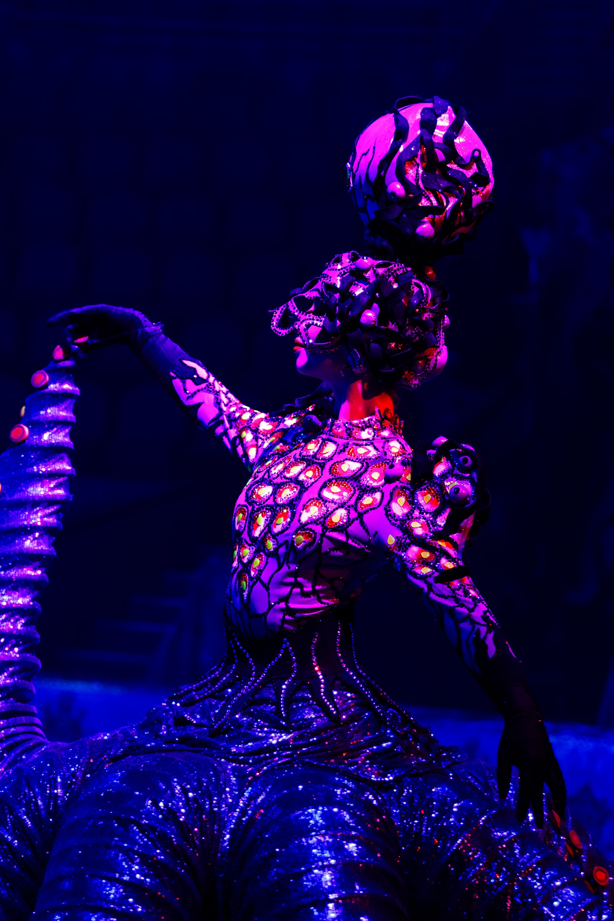 Сочинский росгорцирк Шоу Гии Эрадзе цирк. Профессиональный фотограф в Сочи Виктория Джой. Обучение