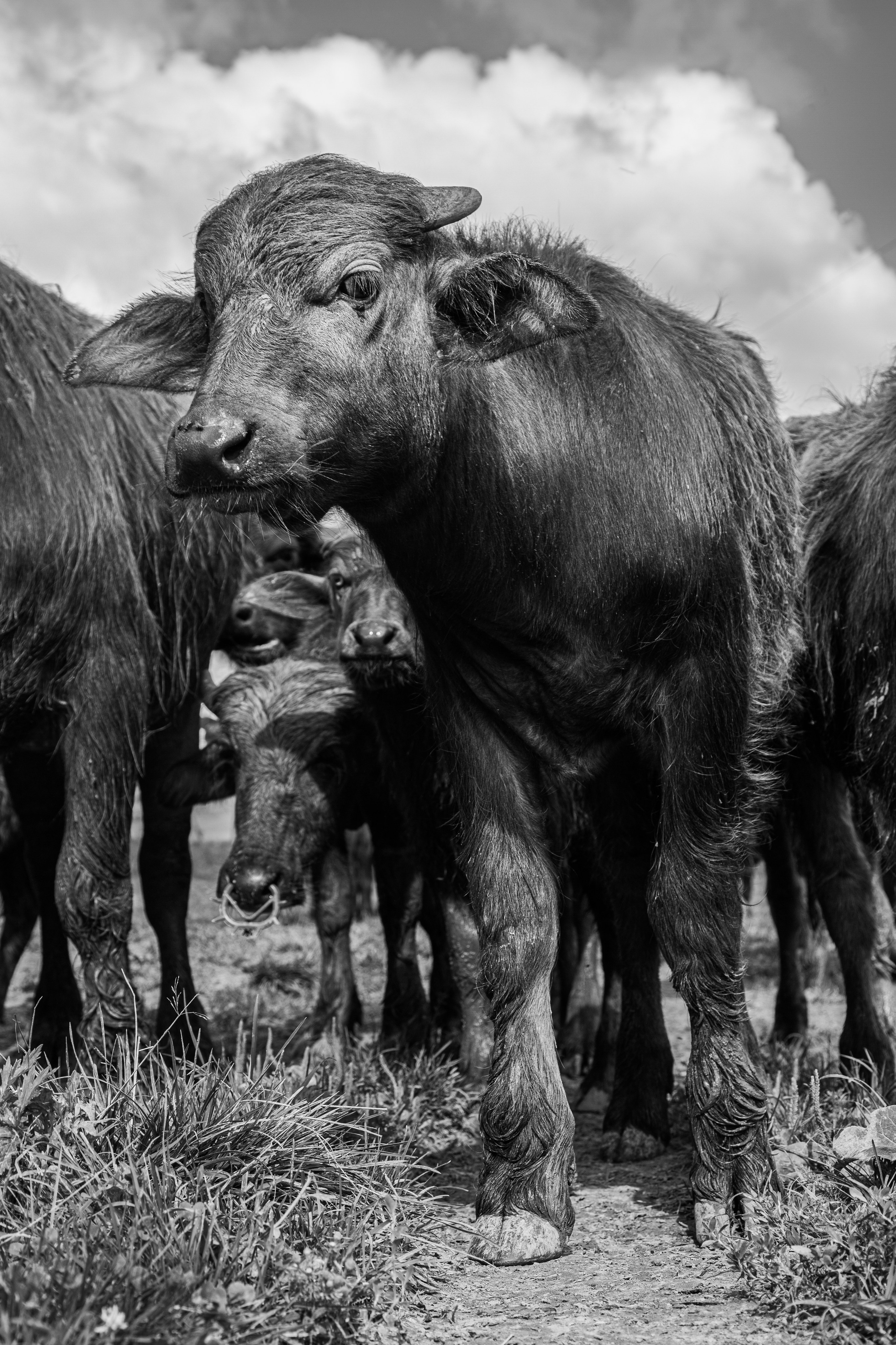 Элла Ферма. Юлия Космо — фуд-фотограф, предметный стилист, Москва