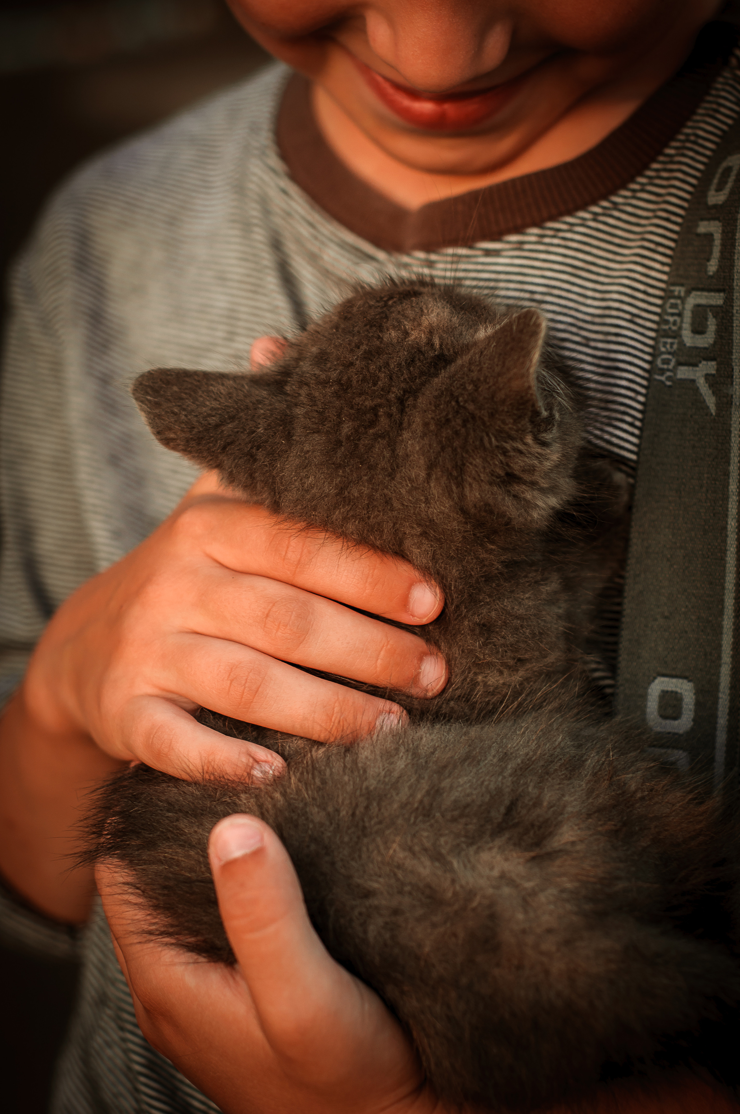 Детская фотосессия. Семейный и детский фотограф в Ярославле, Максимова Светлана