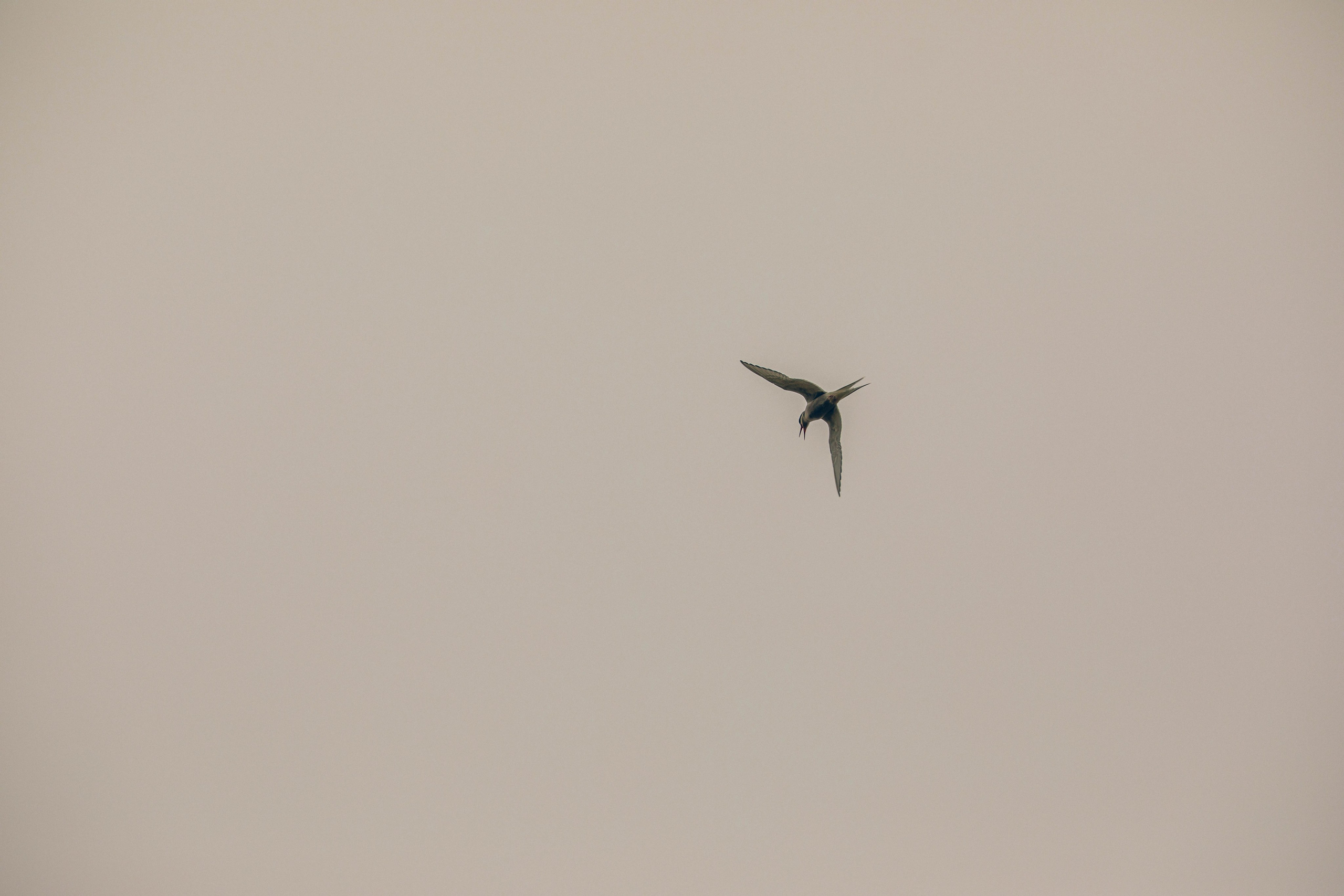 Кольский полуостров. Фотографирую для себя, своей семьи и друзей!