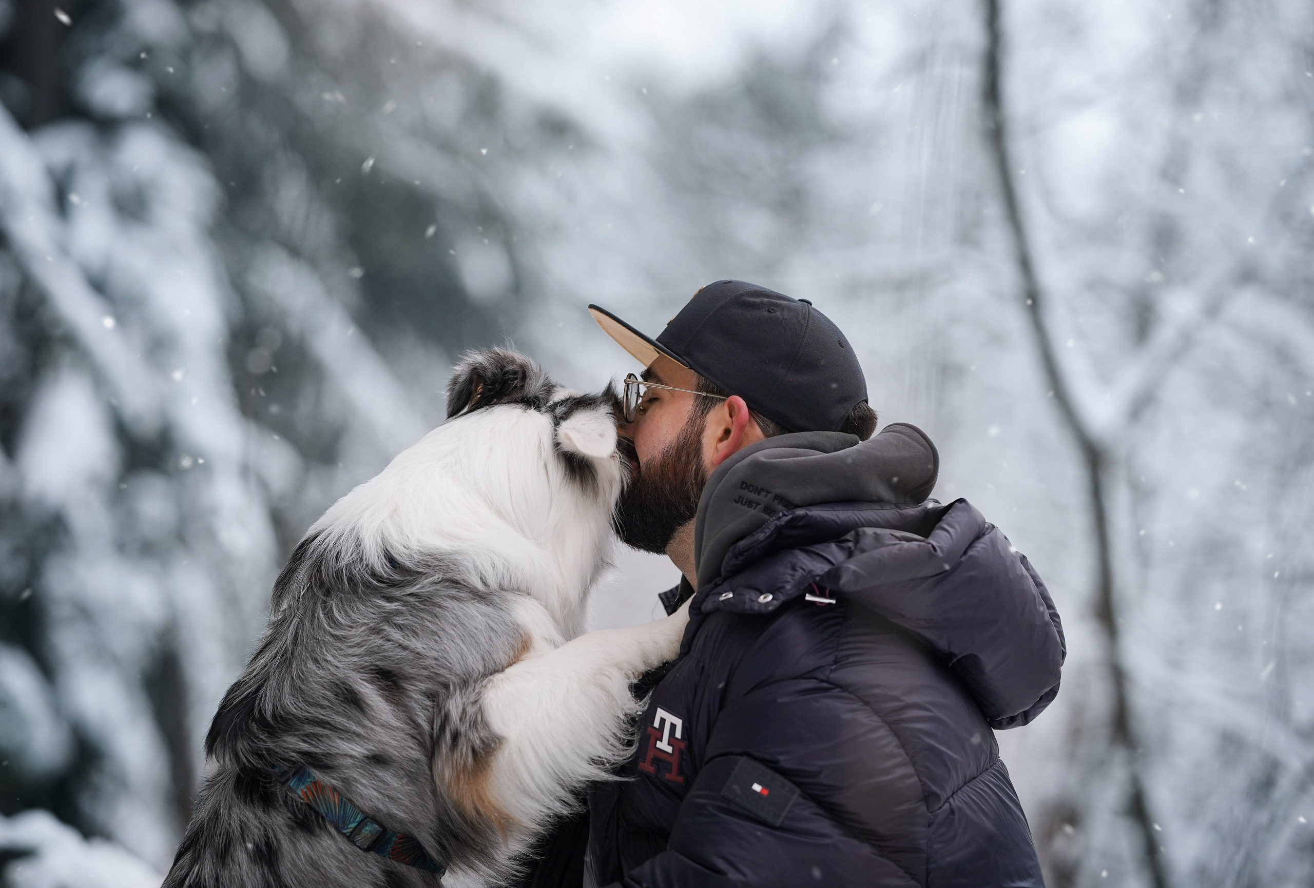 Антон Аиша и Римус. Фотограф-анималист в Санкт-Петербурге Яна Мартынова