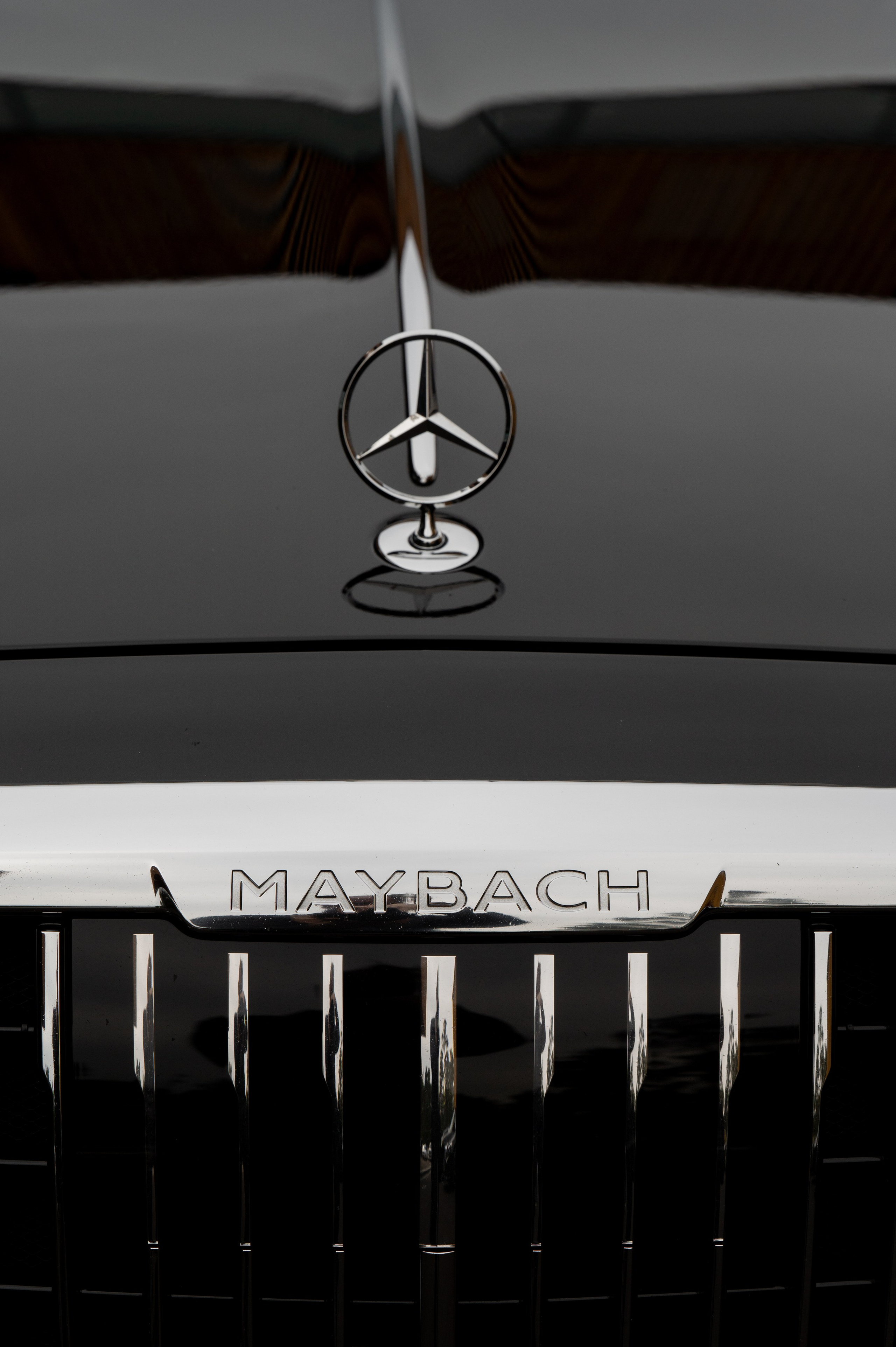 P & T. Tarasov-stroganova.ru