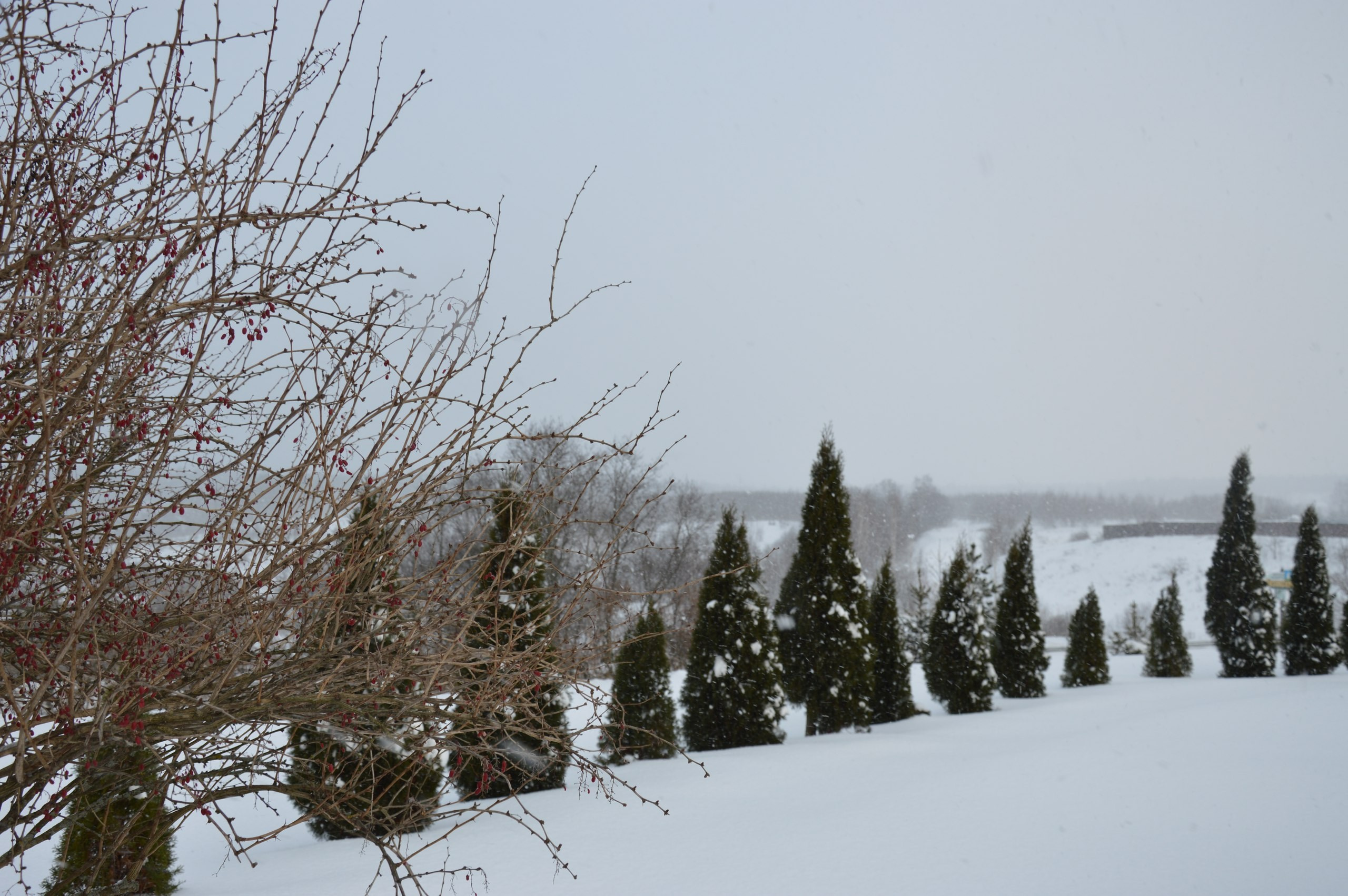 Сергиев Посад | 11.12.2016. Галерея Фантим