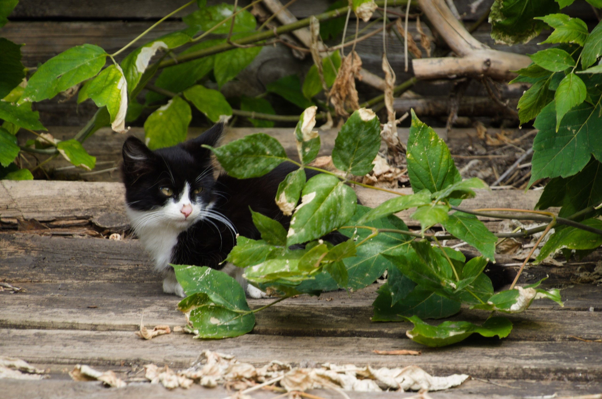 Самара | 05-06.09.2020. Галерея Фантим