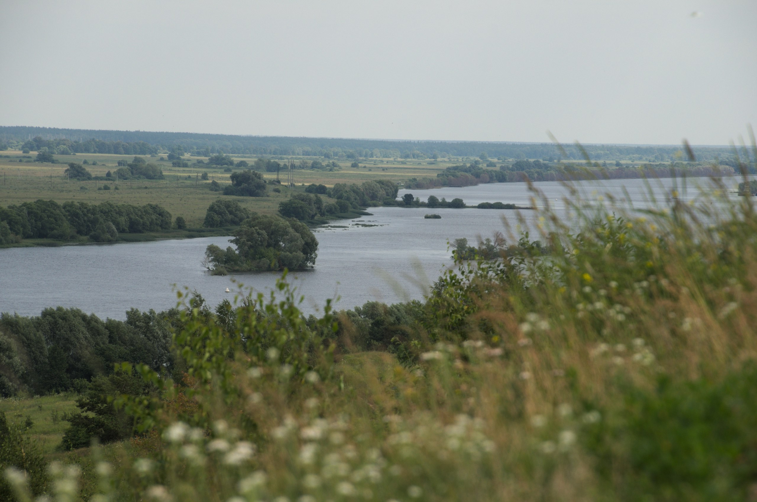 Константиново | 16.07.2017. Галерея Фантим