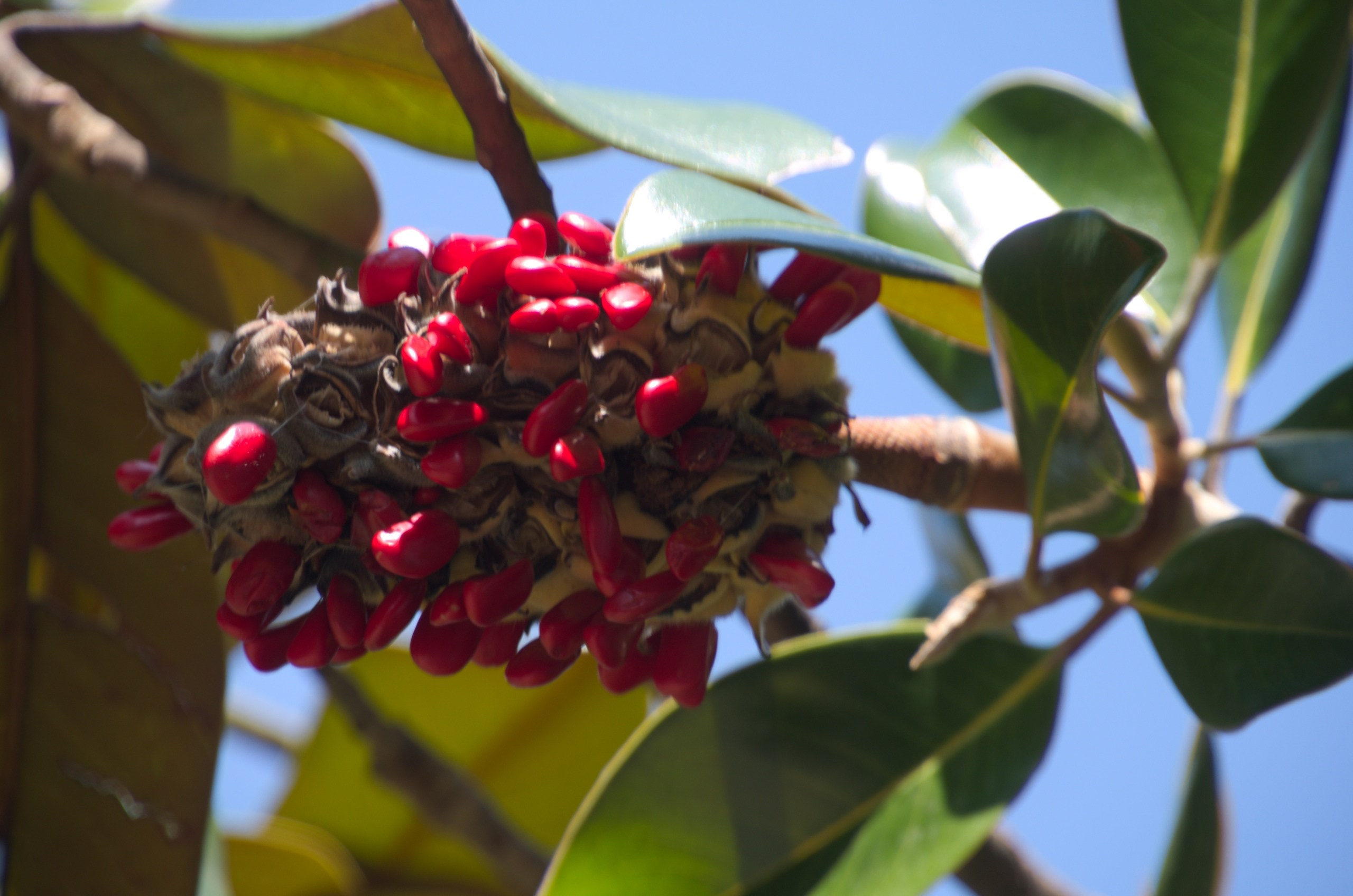 Сочи | 05-06.10.2019. Галерея Фантим