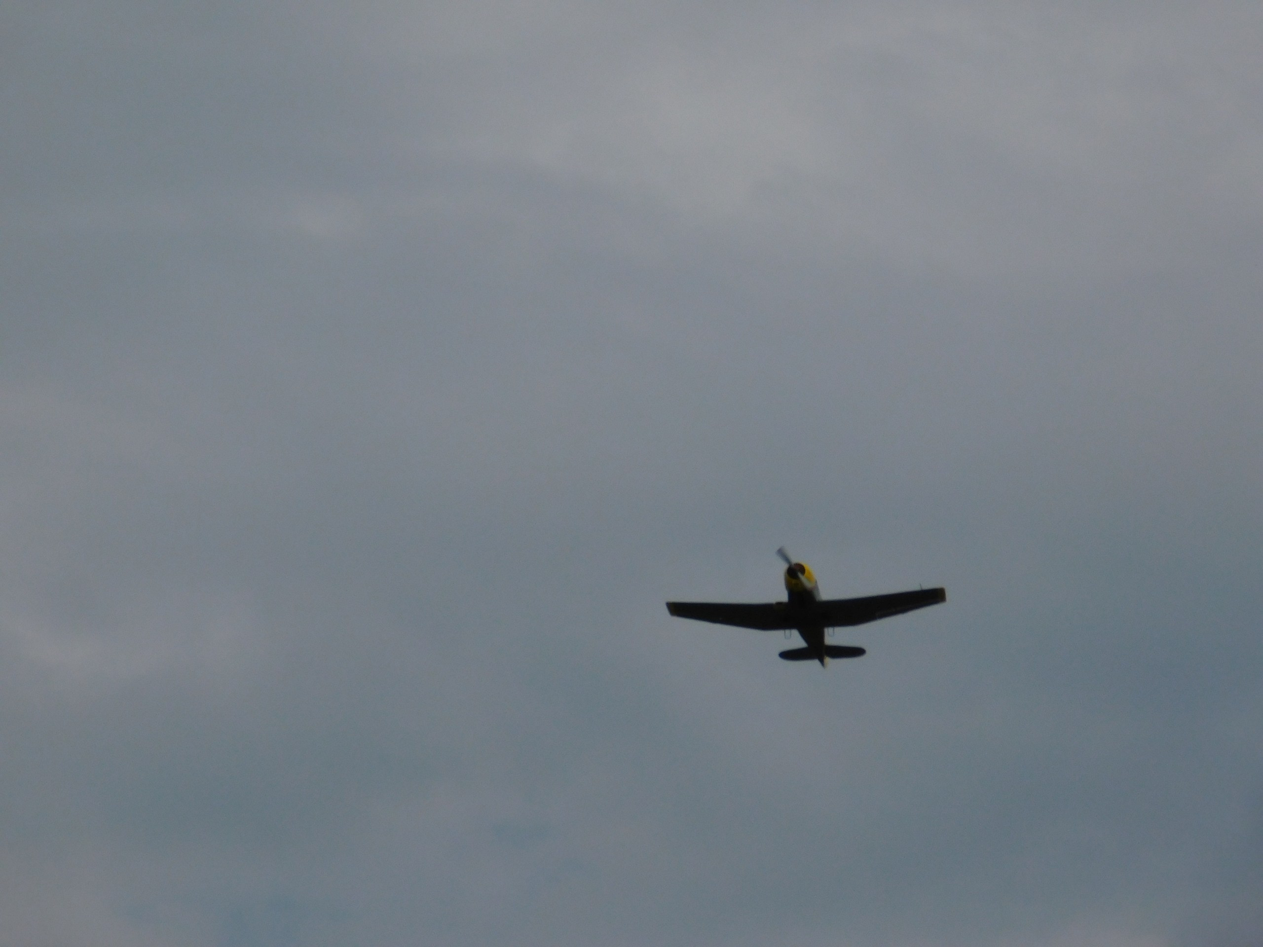 Чудеса на виражах. Полеты | 26.07.20. Галерея Фантим