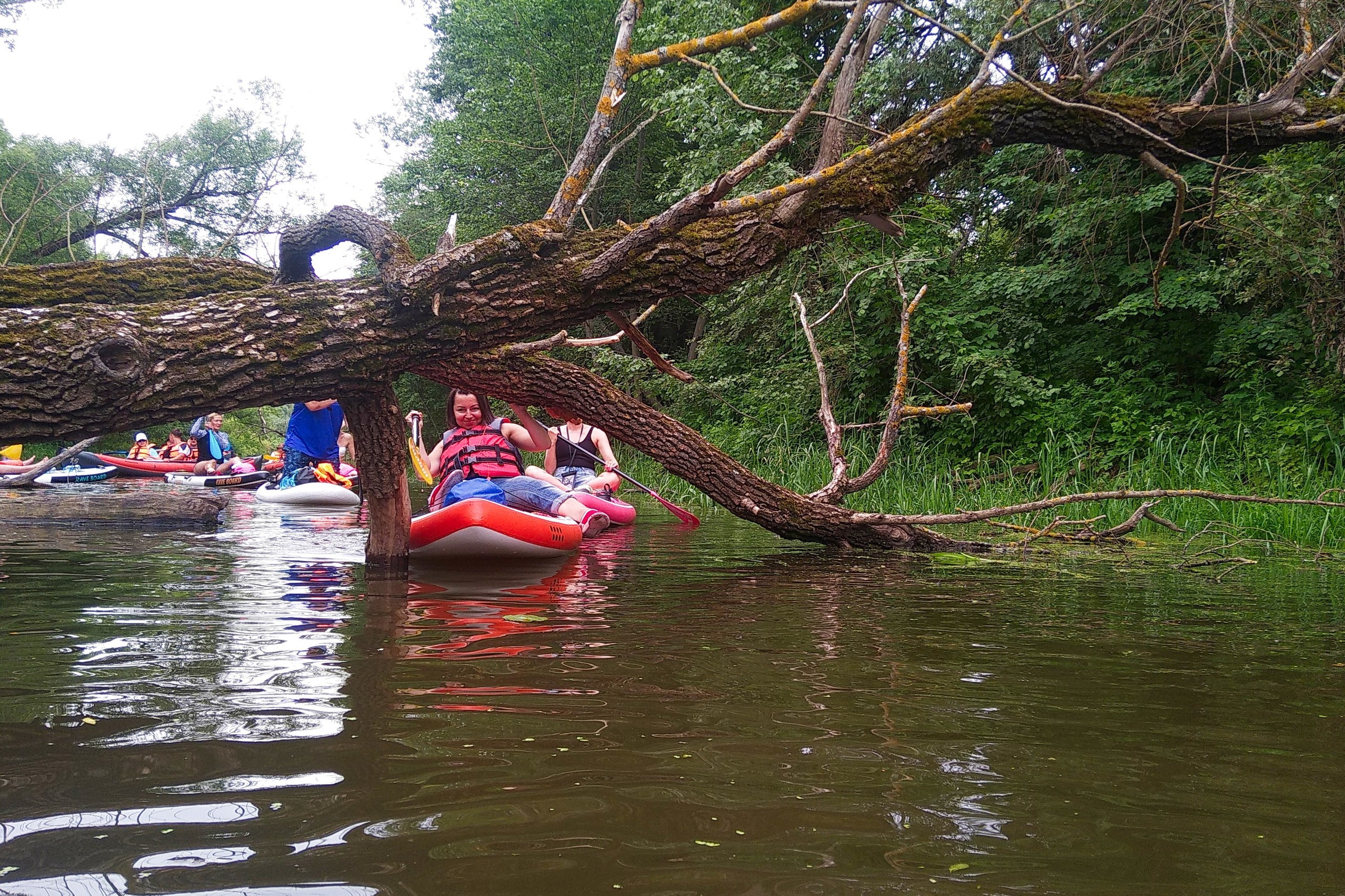 Сплав на сапах | 16.06.2024. Галерея Фантим