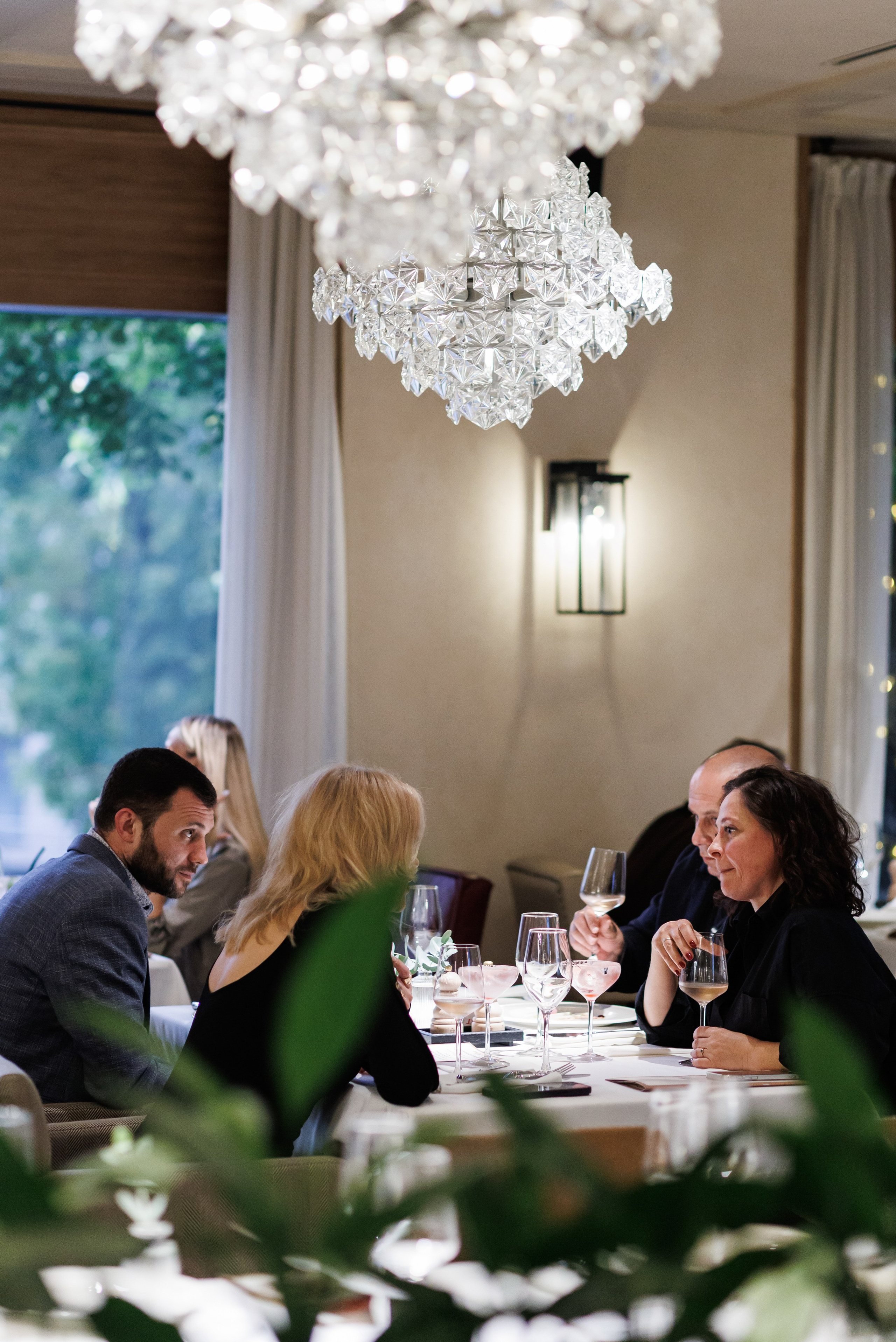 Бархат Винный вечер. Https://andreysolodov.ru