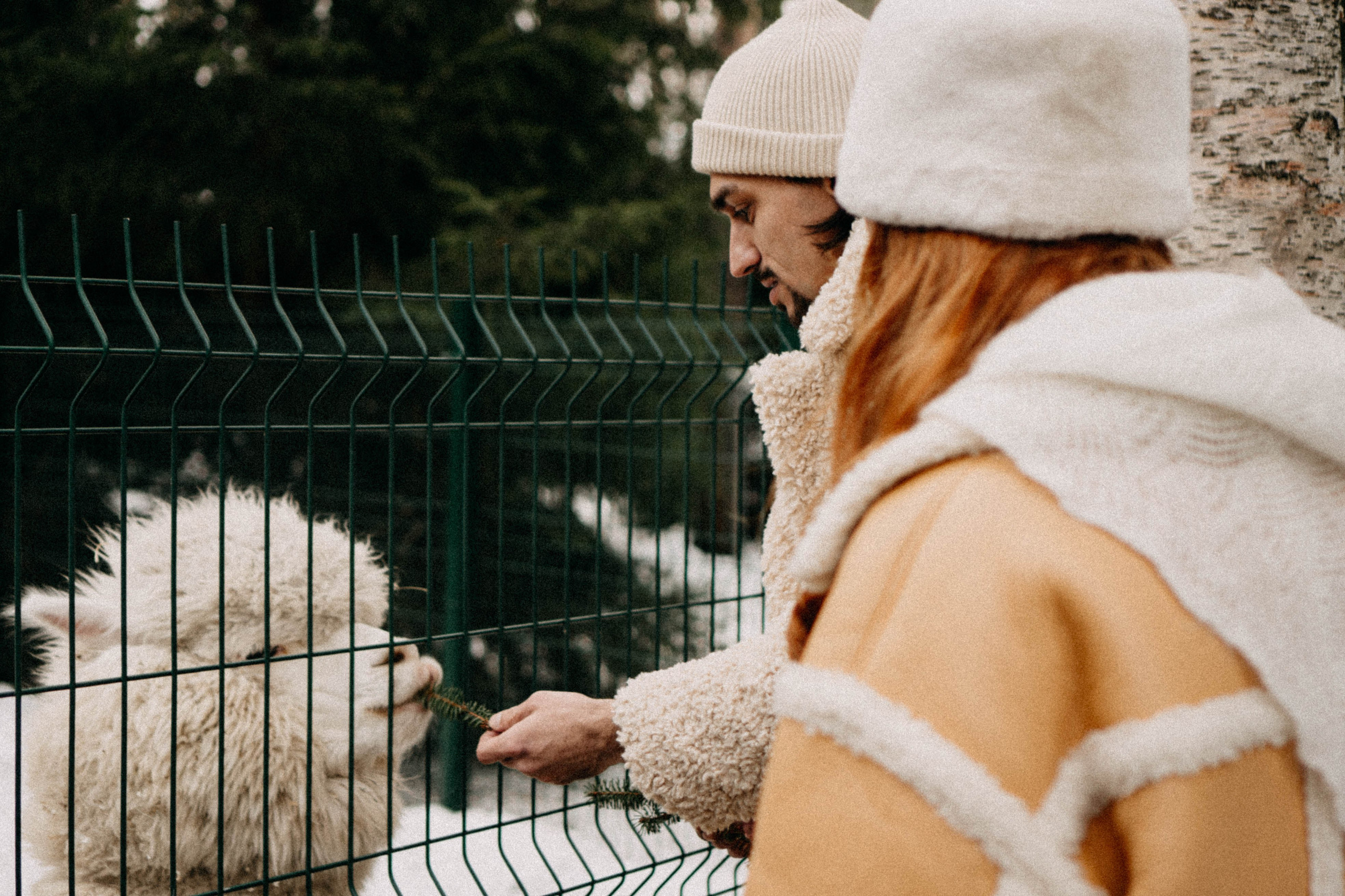 Каток. Профессиональный фотограф, Санкт-Петербург — Виктория Богомолова