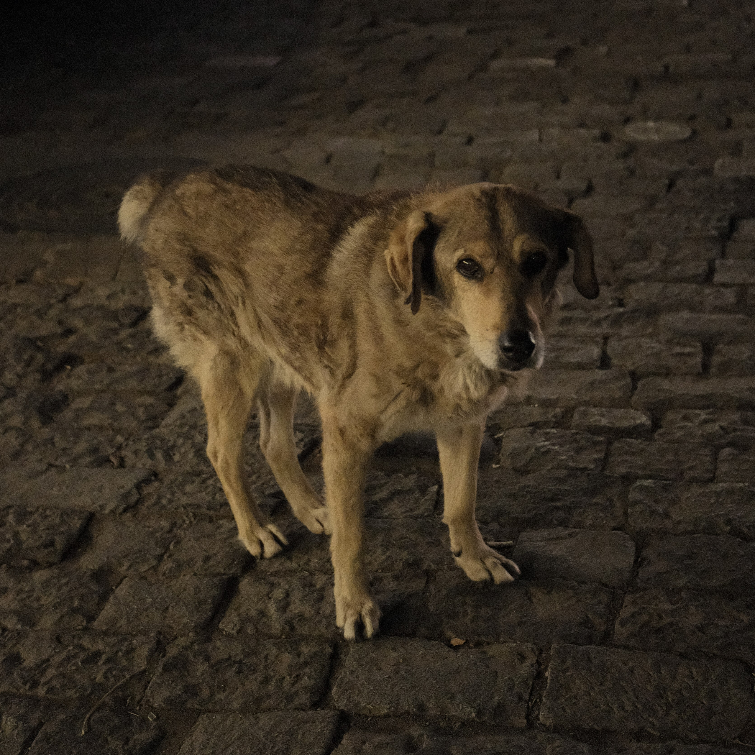 Georgia. Creative travel photographer — Berg Daria