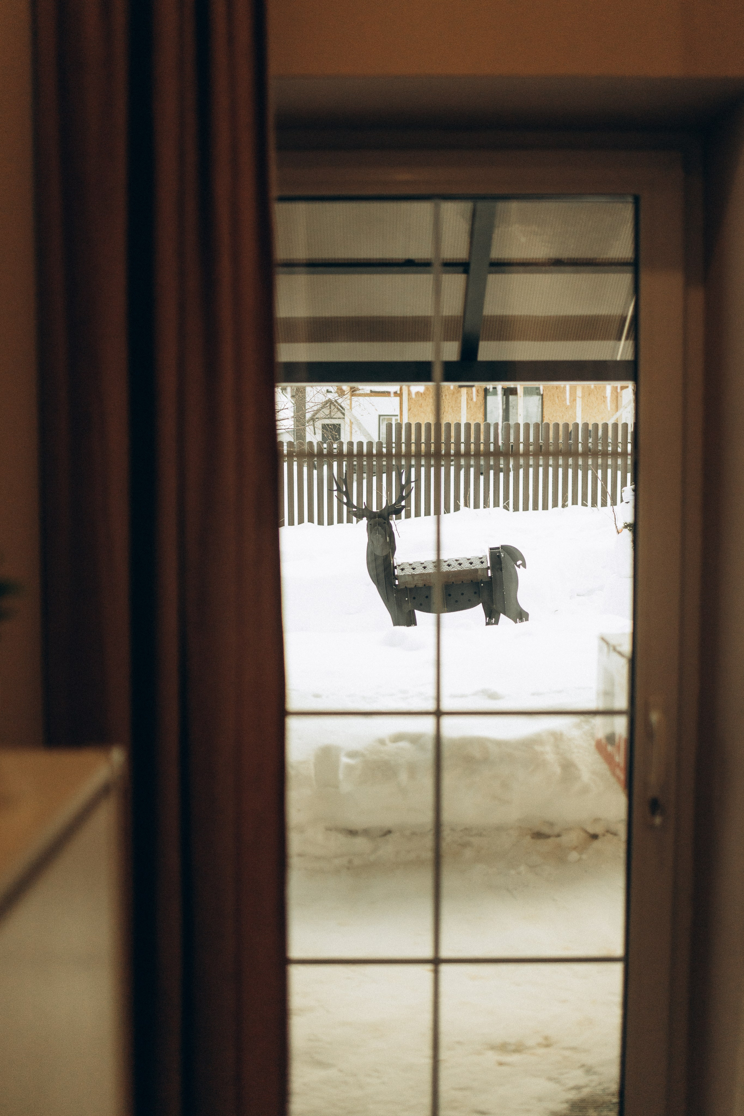 Семейные. Семейный фотограф Новосибирск Фотограф на выписку Новосибирск