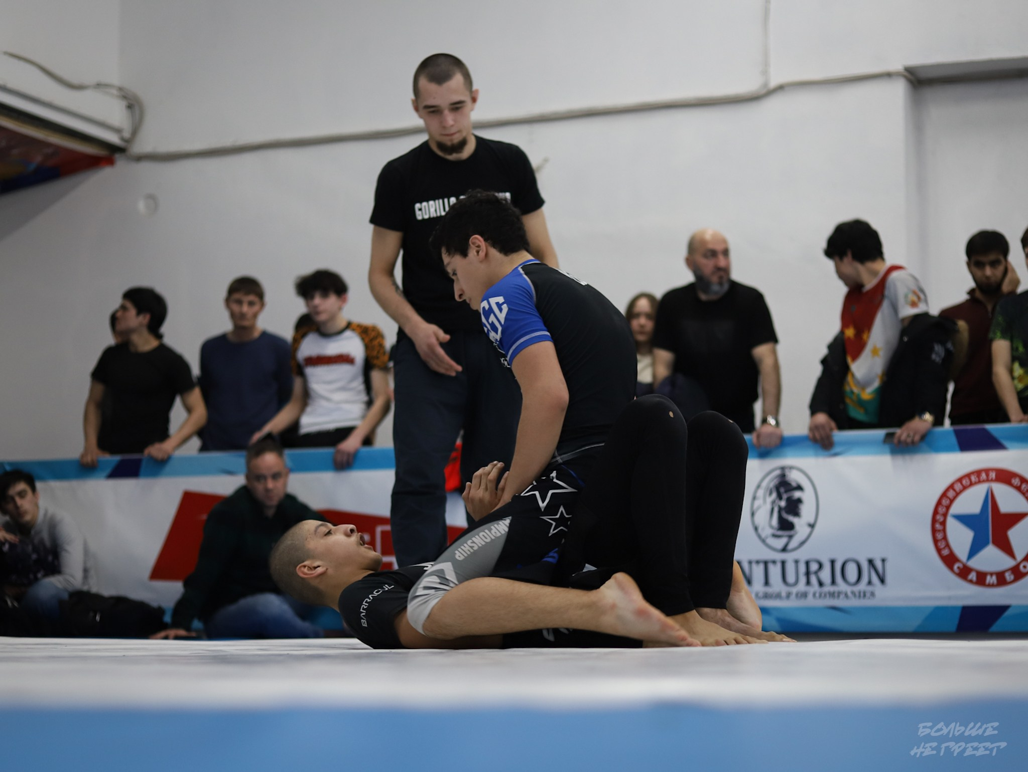 GORILLA PRIDE CUP. Больше не греет