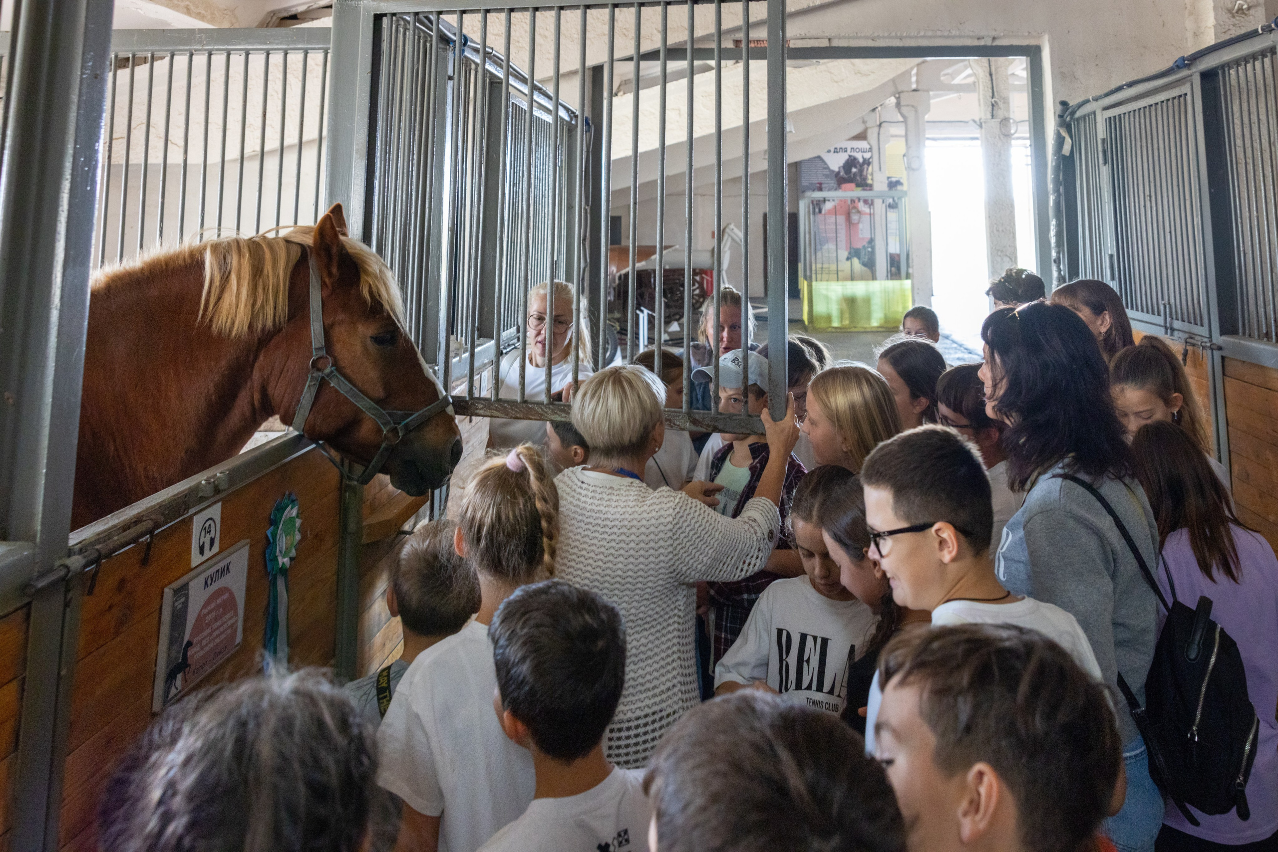 Поездка на поле Кулеково. Фотограф в Туле Крупский АнДРей. Фотостудия «КАДР71» в Туле