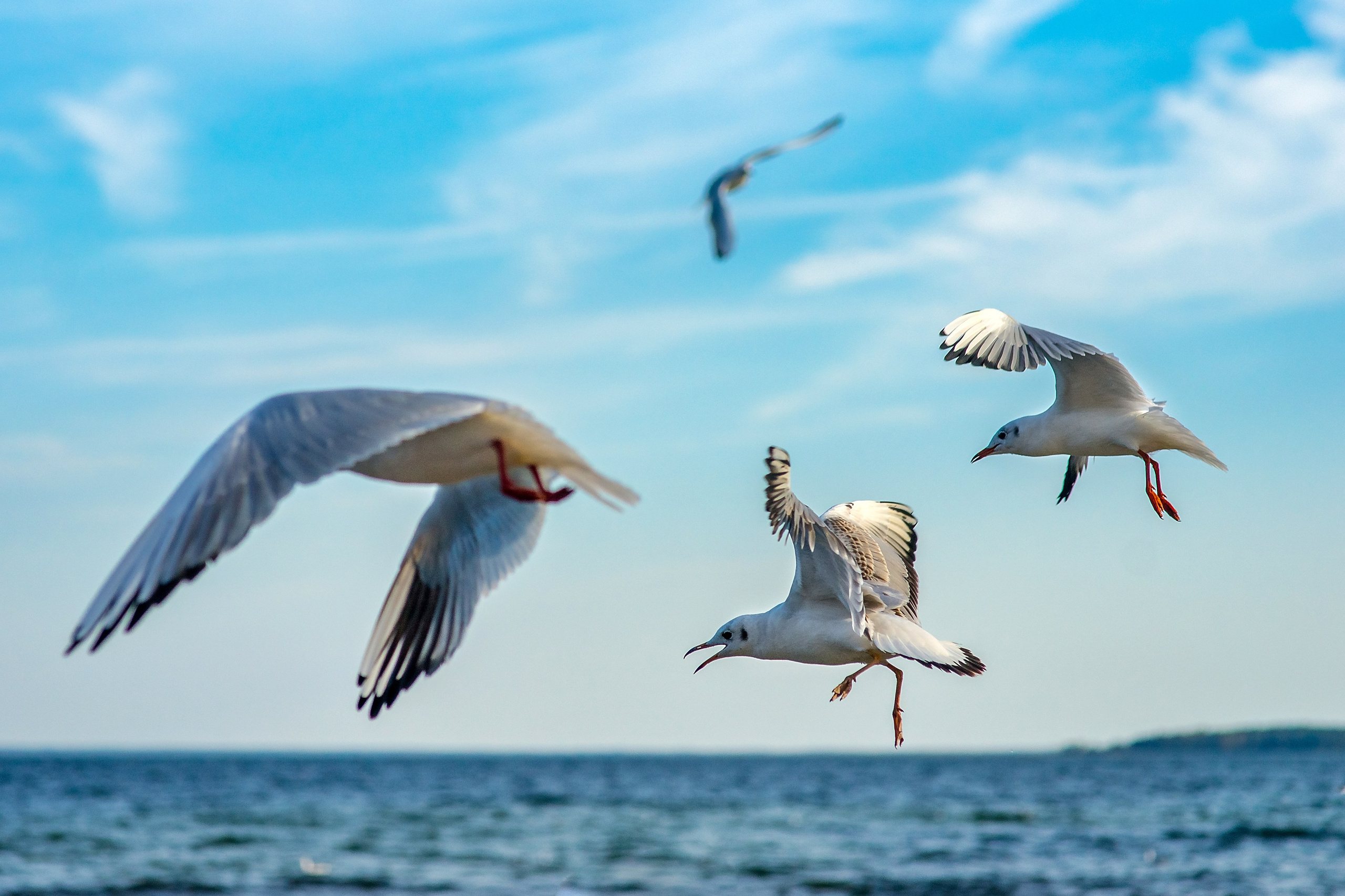 Озеро Нарочь. Беларусь.