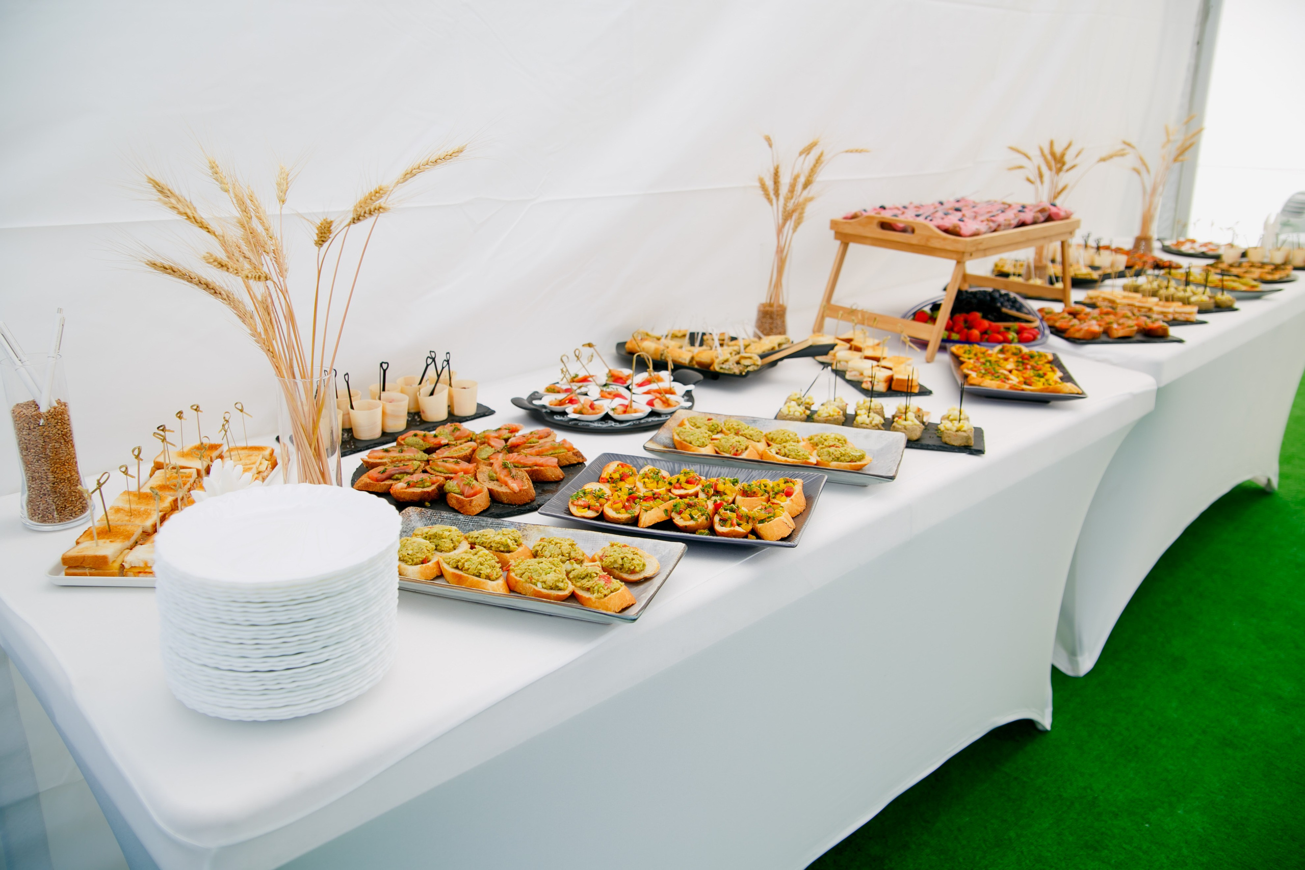 Агротерра. Фотограф Яков Поспехов