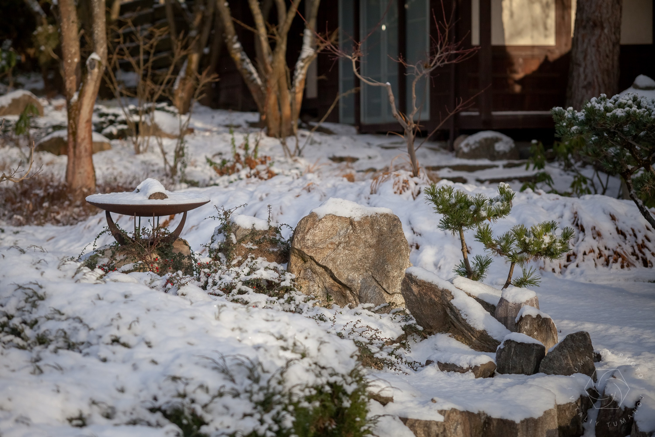 ОДНИМ СОЛНЕЧНЫМ ЗИМНИМ ДНЁМ!. Виталий Туманов — Ландшафтный фотограф