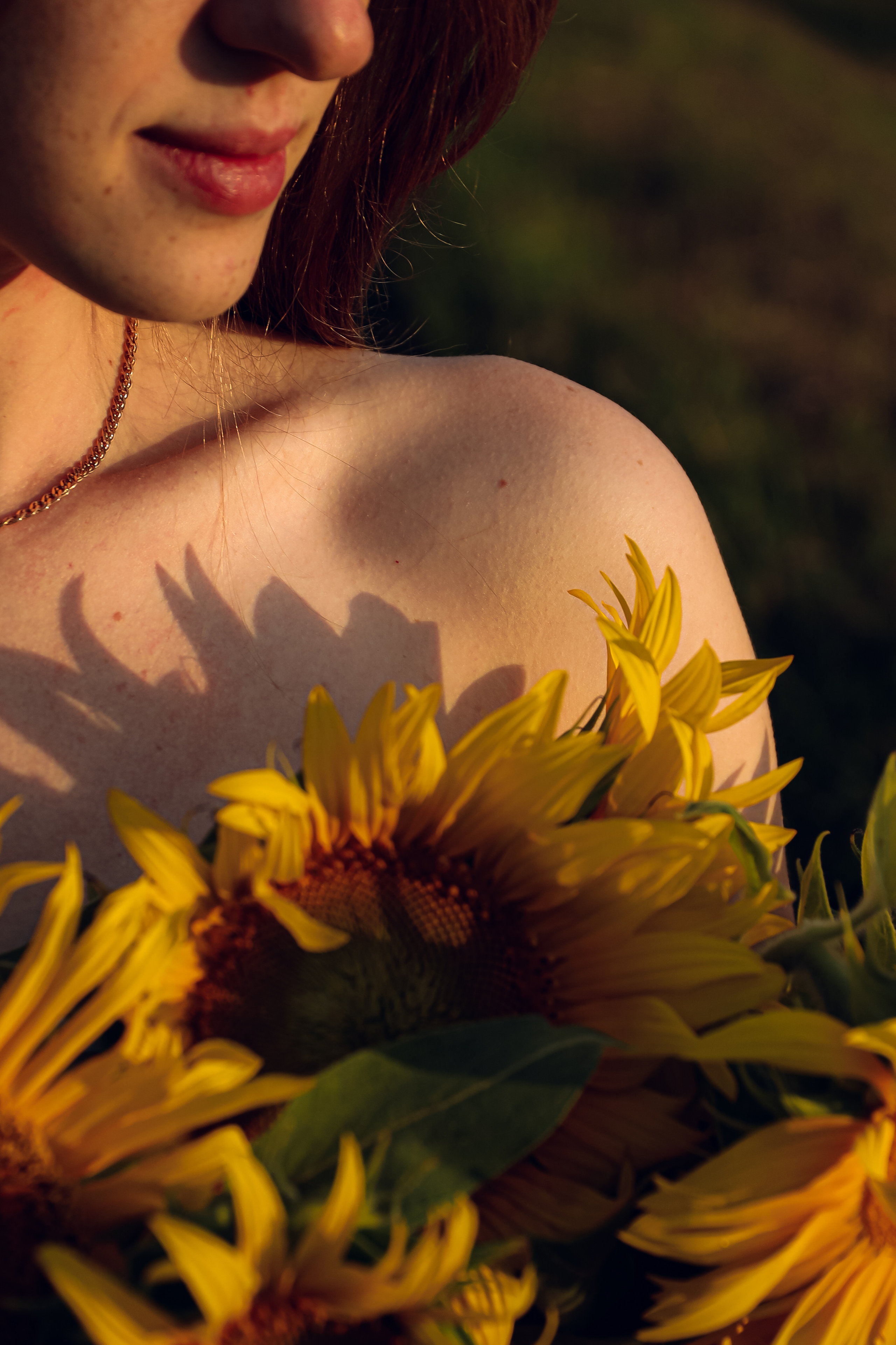 Подсолнухи. Фотограф Артапова Алёна москва