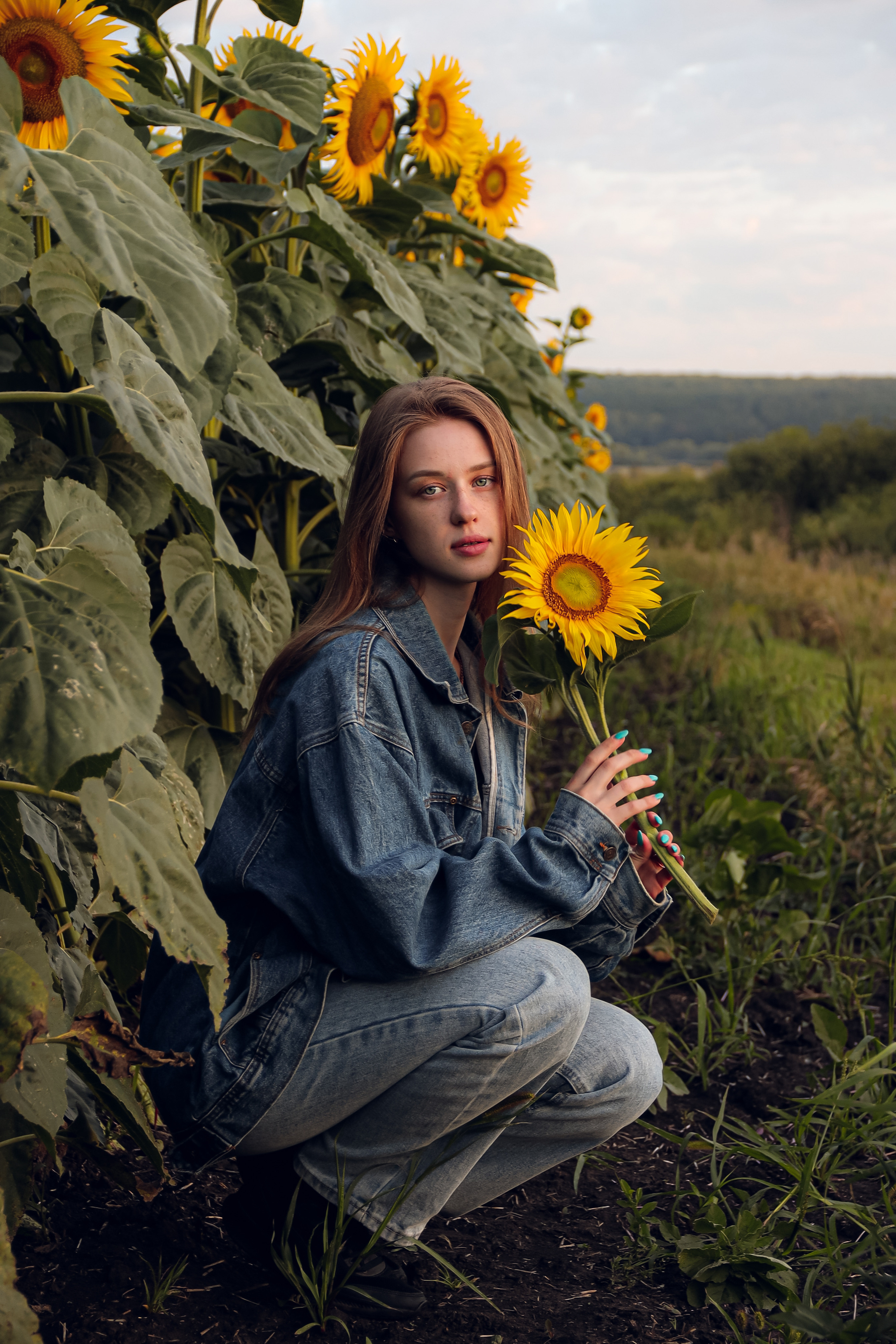 Подсолнухи. Фотограф Артапова Алёна москва