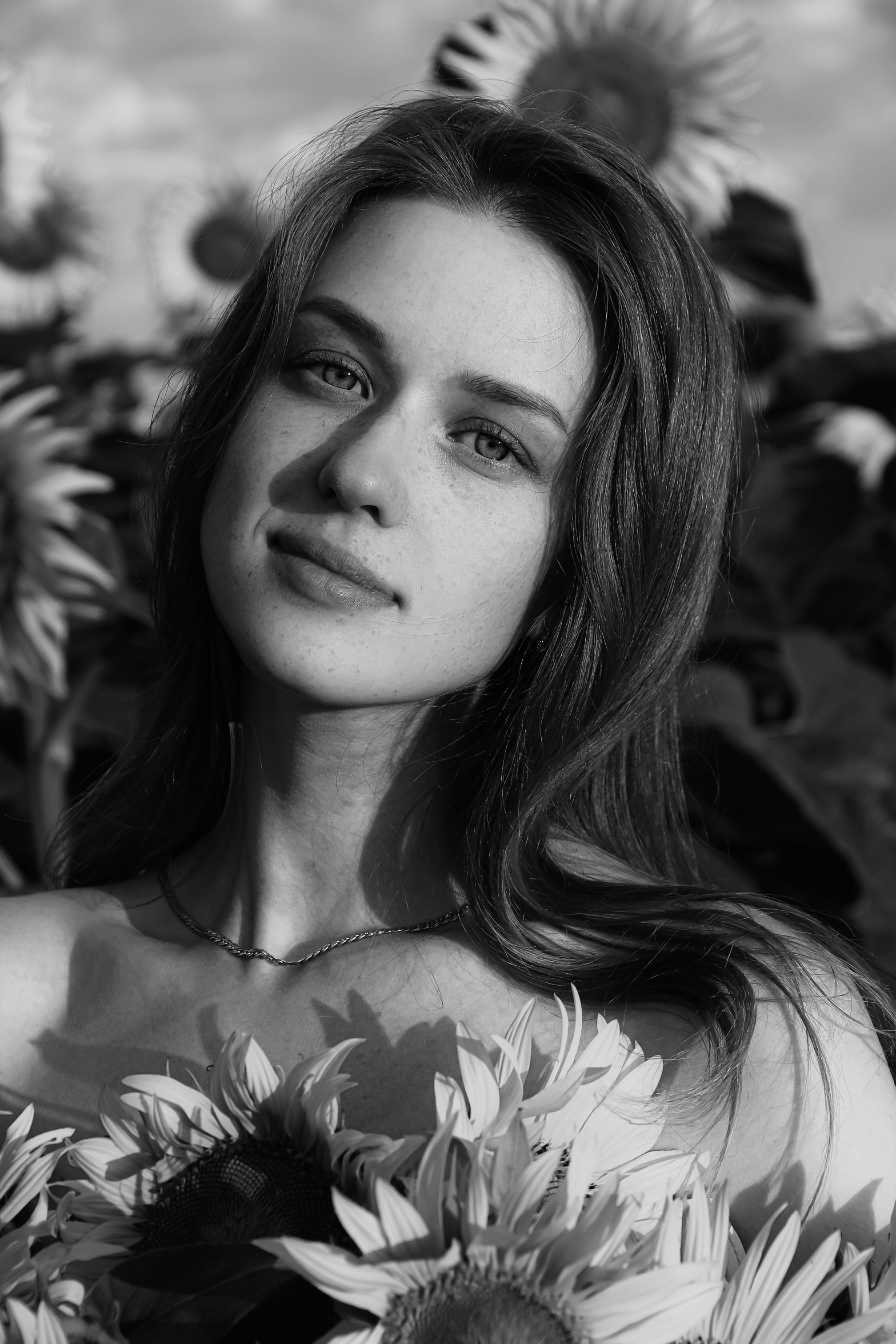 Подсолнухи. Фотограф Артапова Алёна москва