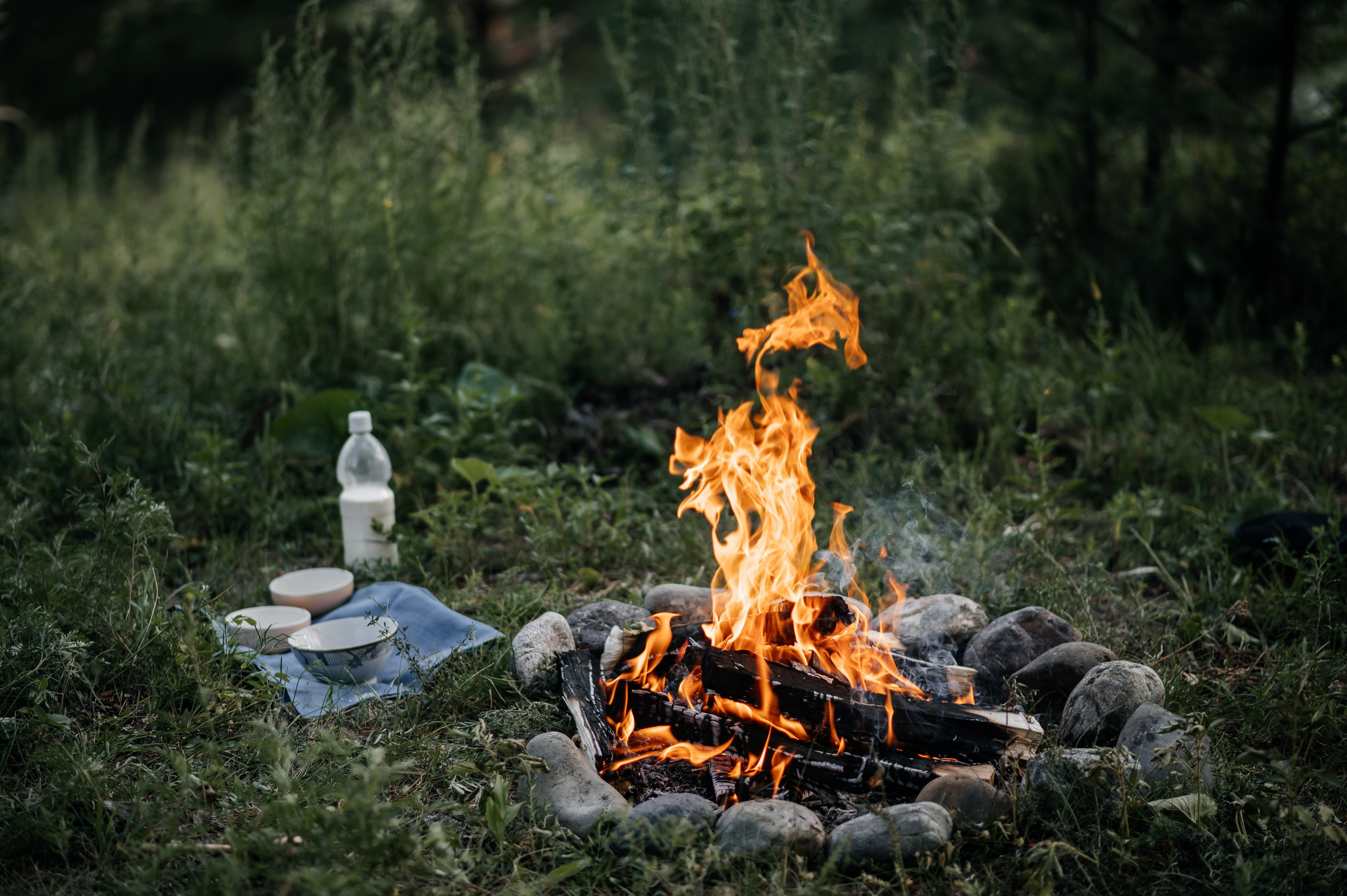 Паша и Даша. Свадебная  съемка на Алтае
