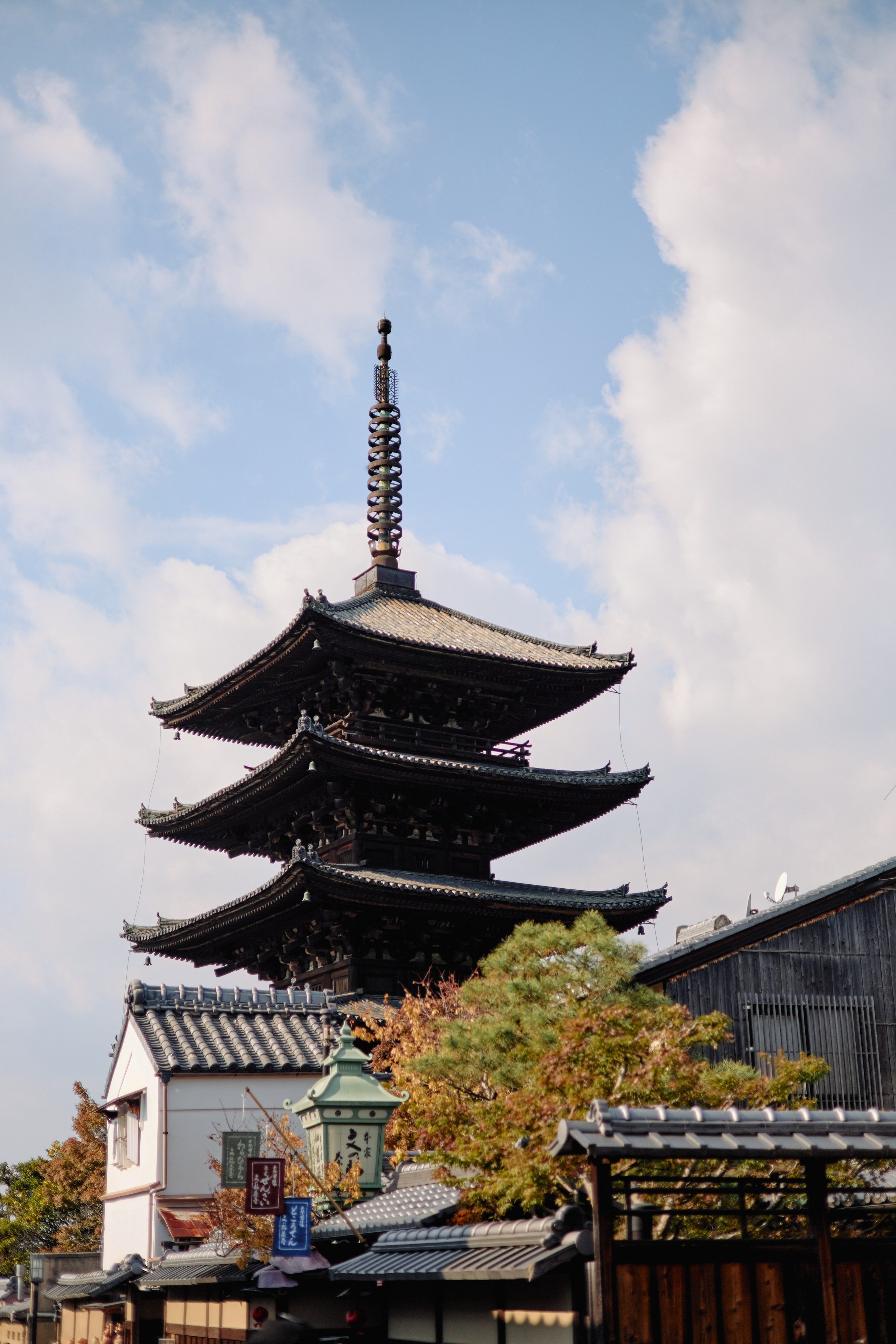 Япония. Профессиональный Фотограф во Владимире, в Москве и в Суздале — Полина Романычева