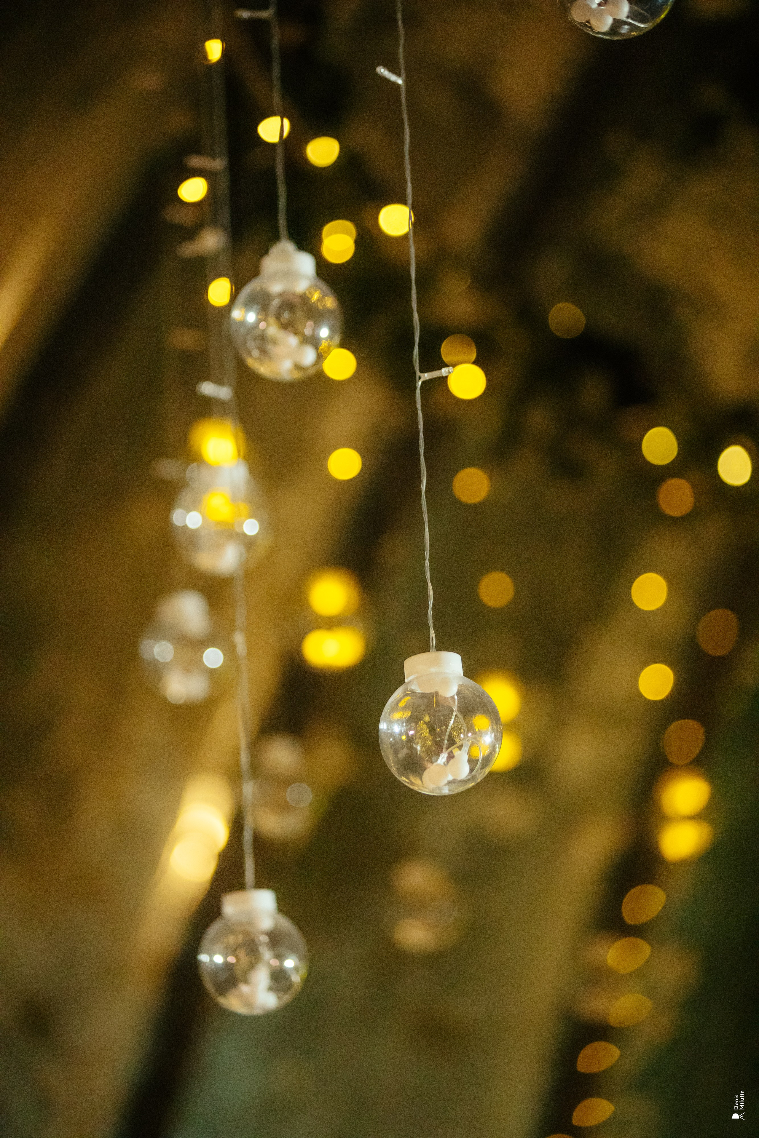 Парк Отель Хвоя. Портретный фотограф Денис Милютин