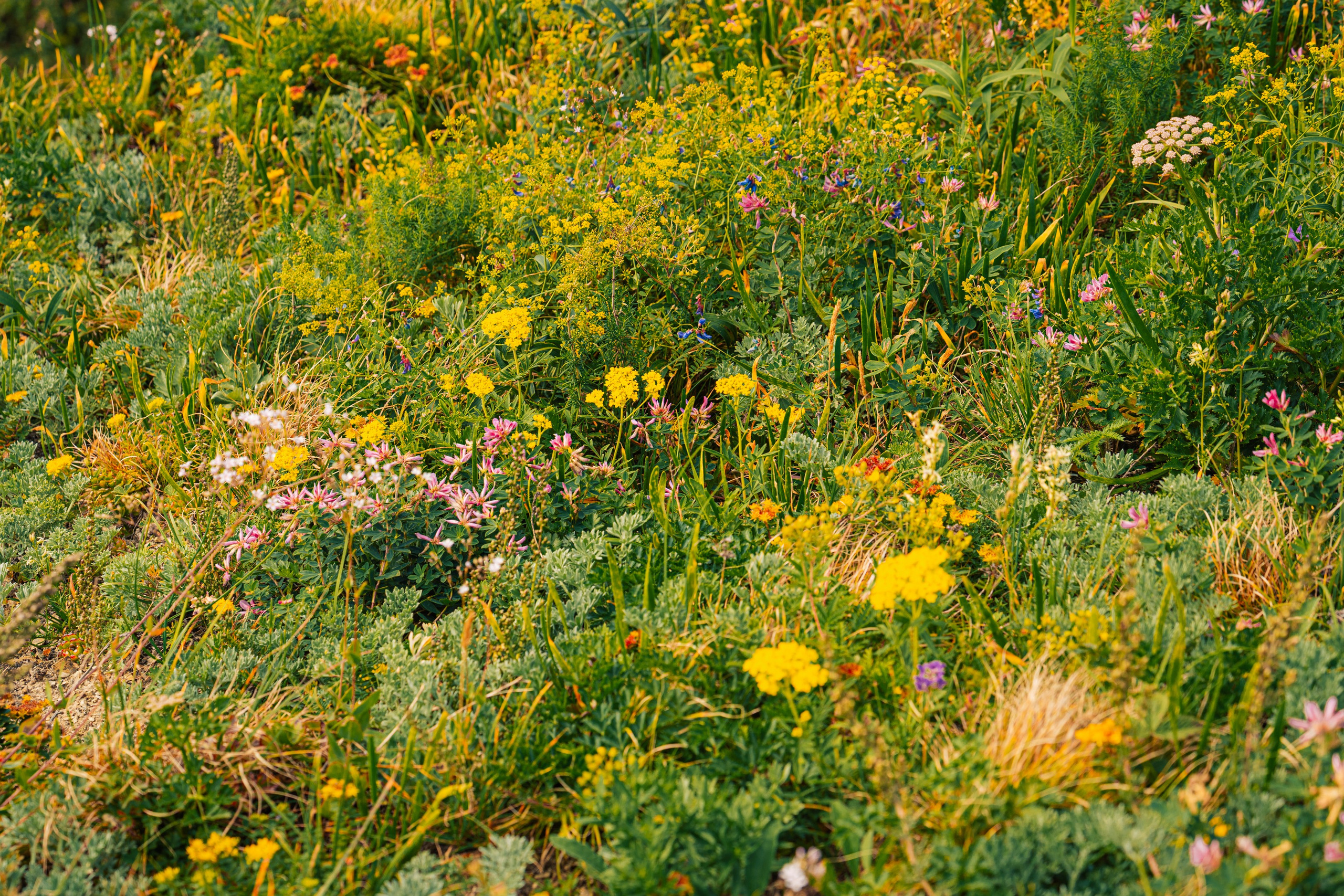 Мыс Четырех Скал. Иван Зайцев (IZIART) — создание культурного кода через фото и видео