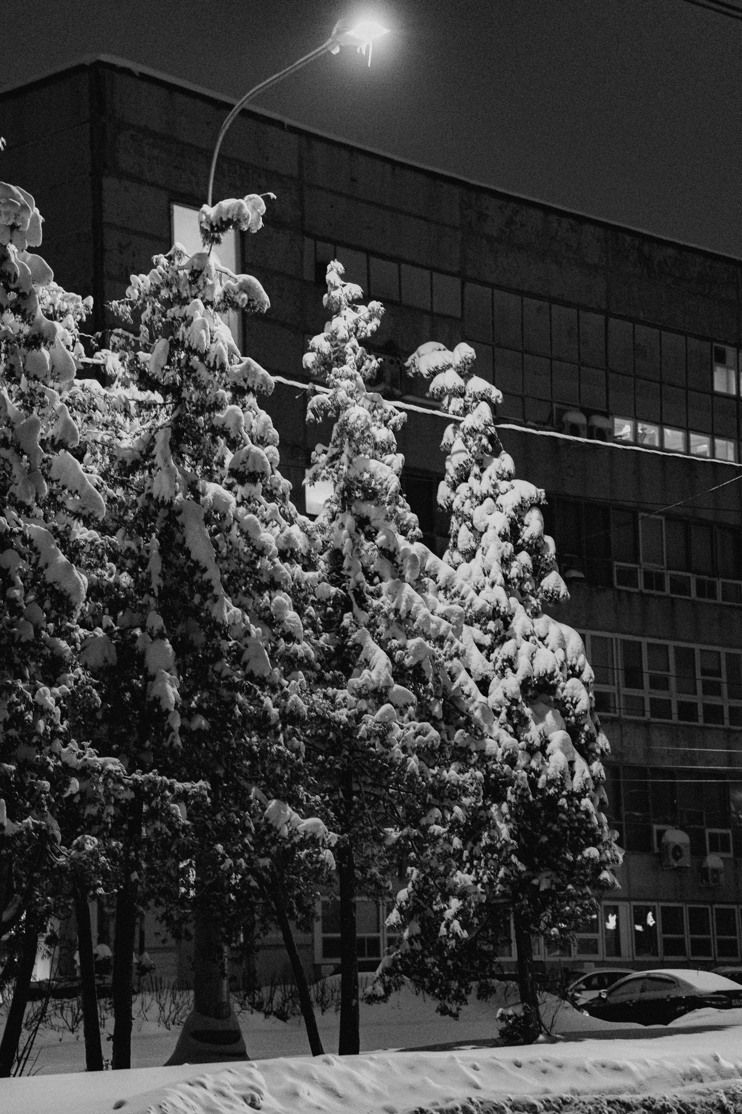 Город зимой. Фотограф Эльмира Лин