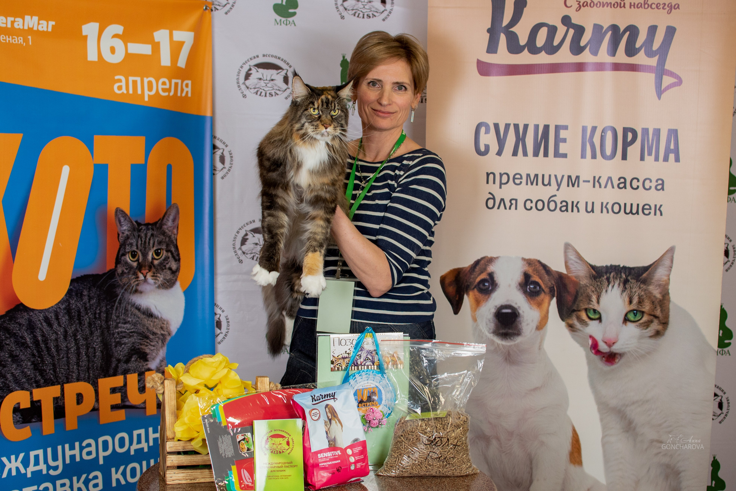 Выставки и дрессировка. Фотограф анималист в Ростове I Гончарова Анна