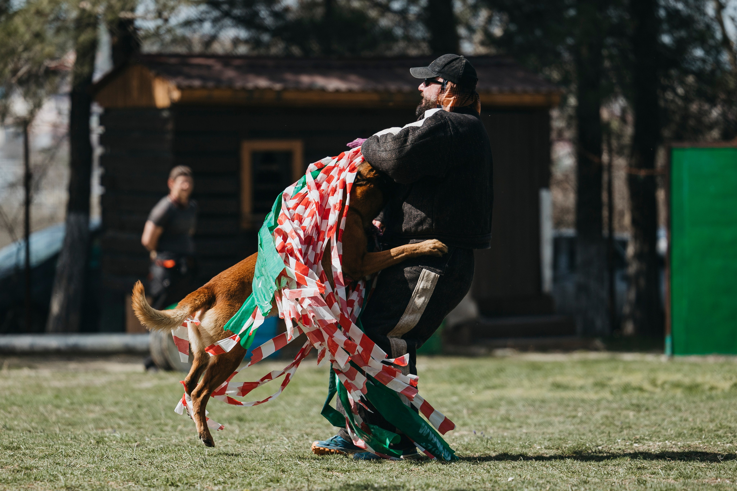 Геленджик Мондьоринг. Фотограф-анималист Анна Маринич