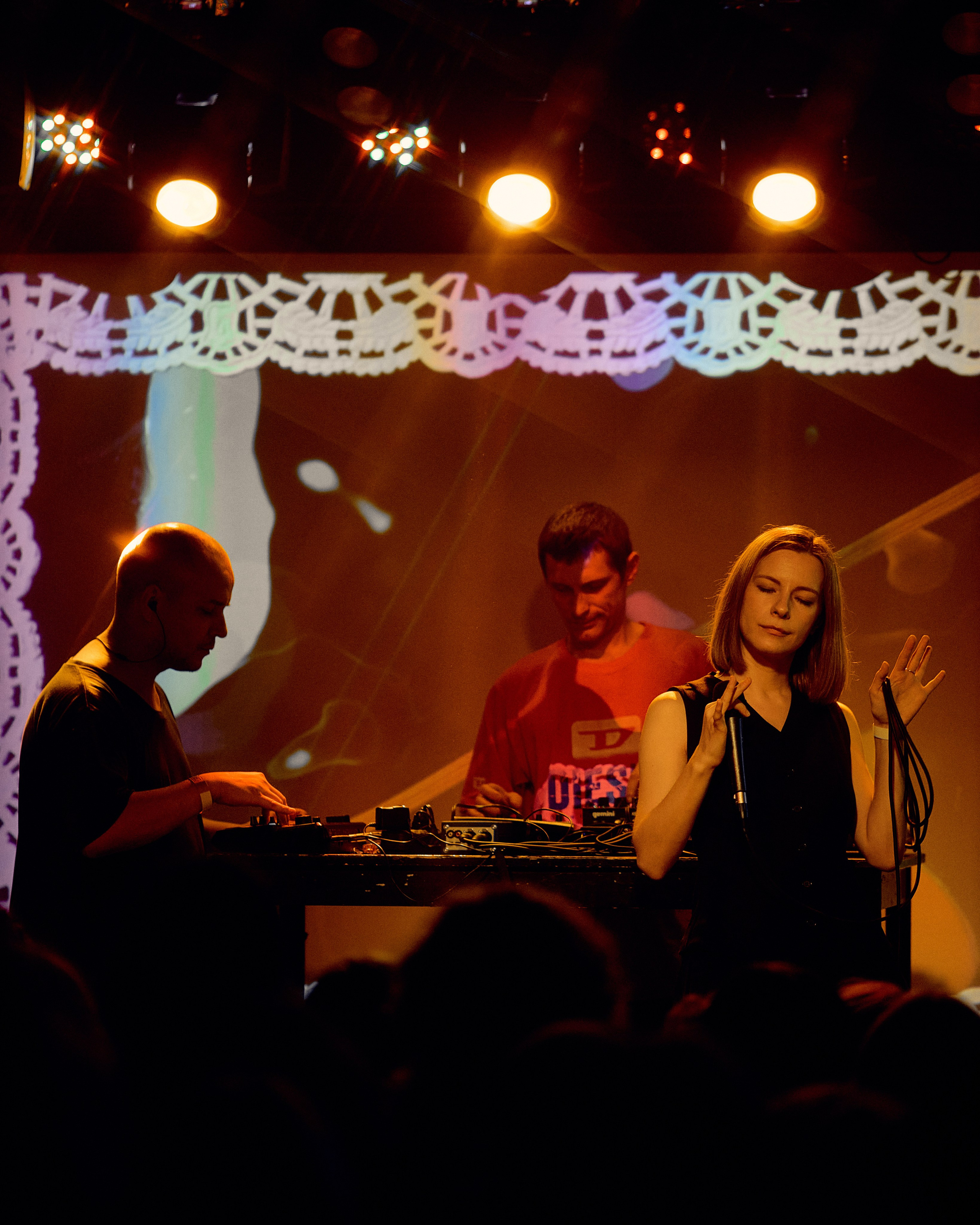 Порез на собаке. Фотограф Юлия Маринина