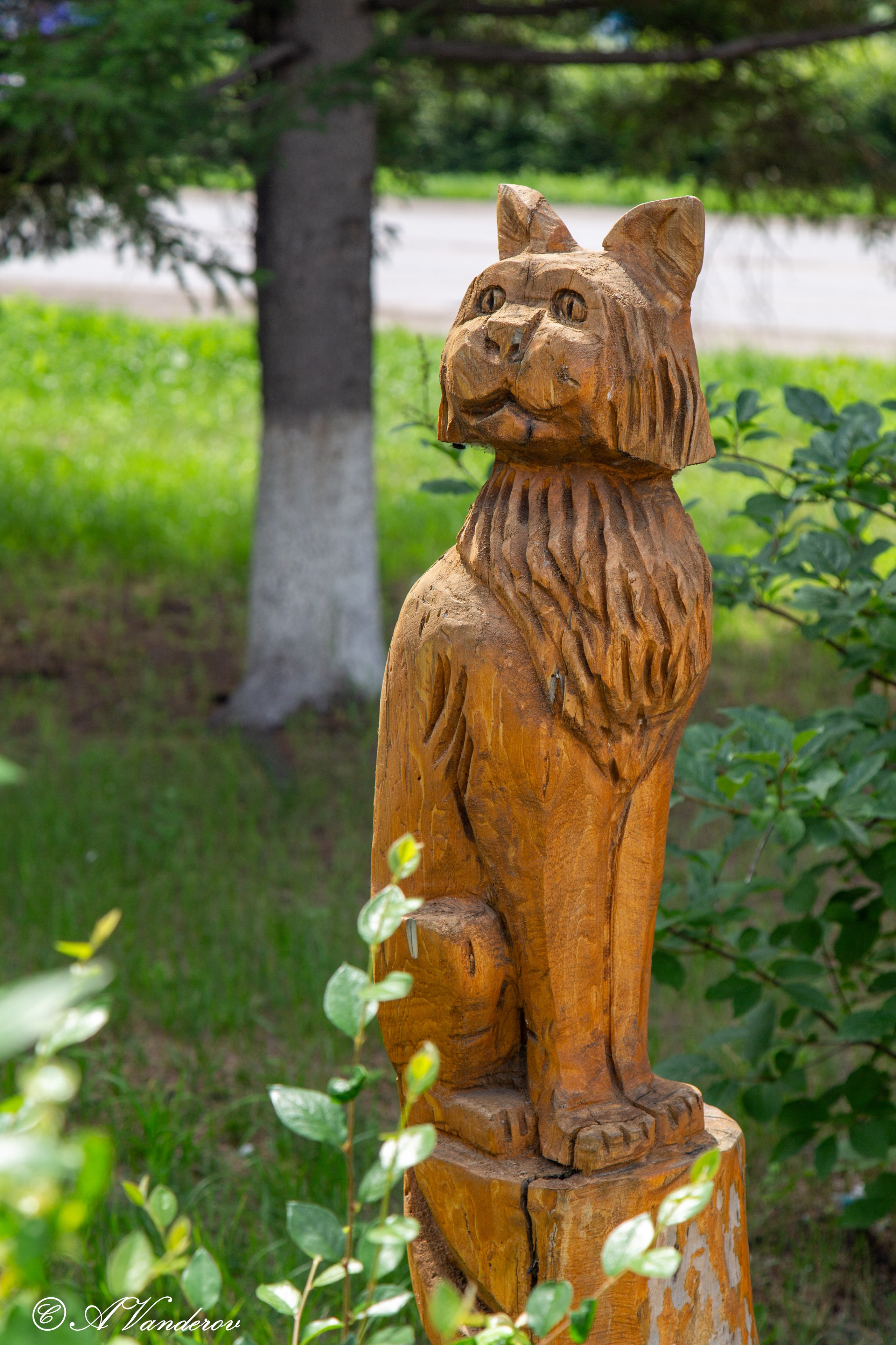 Калачинск 07.07.2024. Фотограф Омск | Александр Вандеров