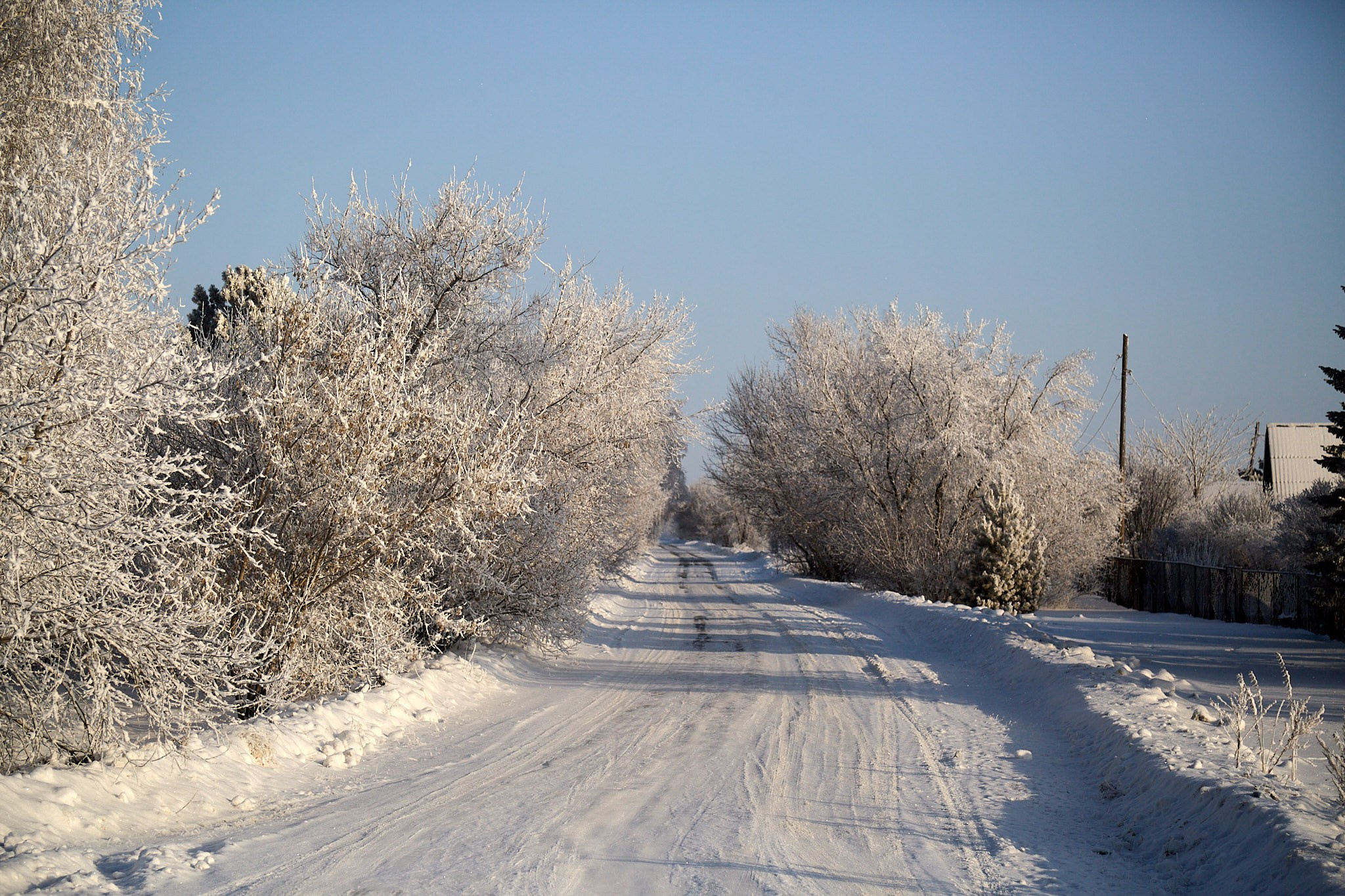 Предновогодняя сказка. Фотограф Омск | Александр Вандеров
