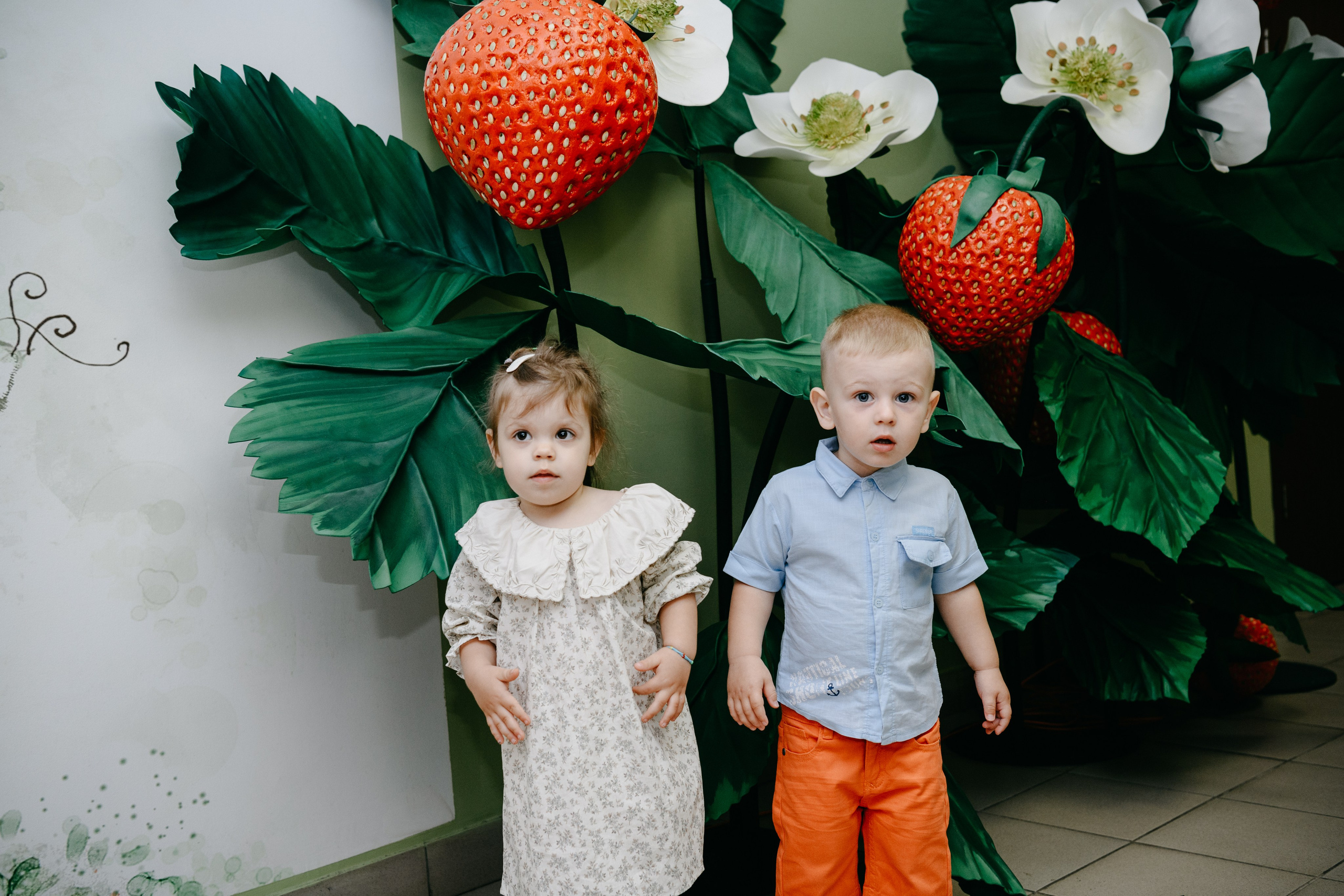 Волшебная страна. Фотограф на выписку из роддома в Москве и МО